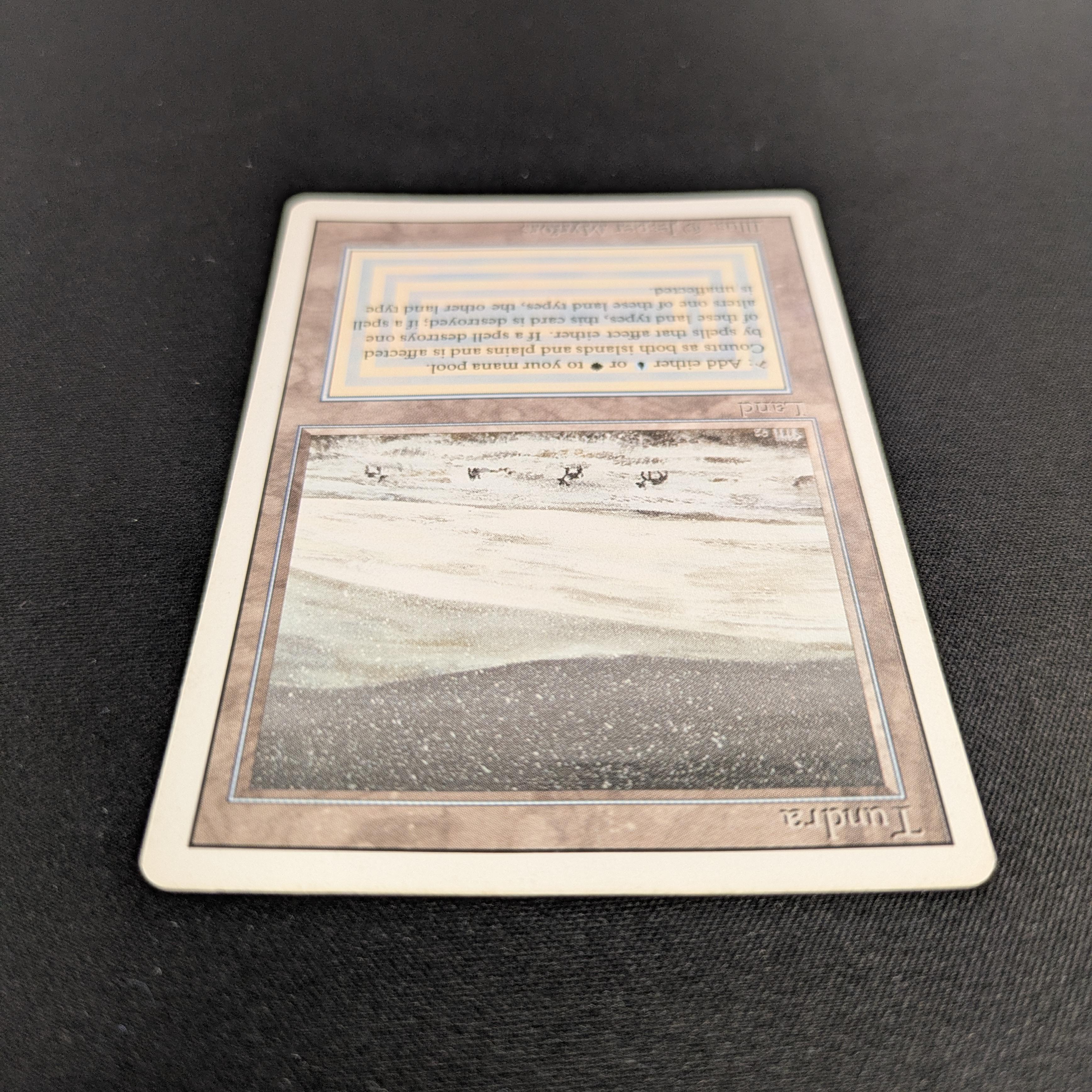 MTG Singles - Tundra - Revised - 