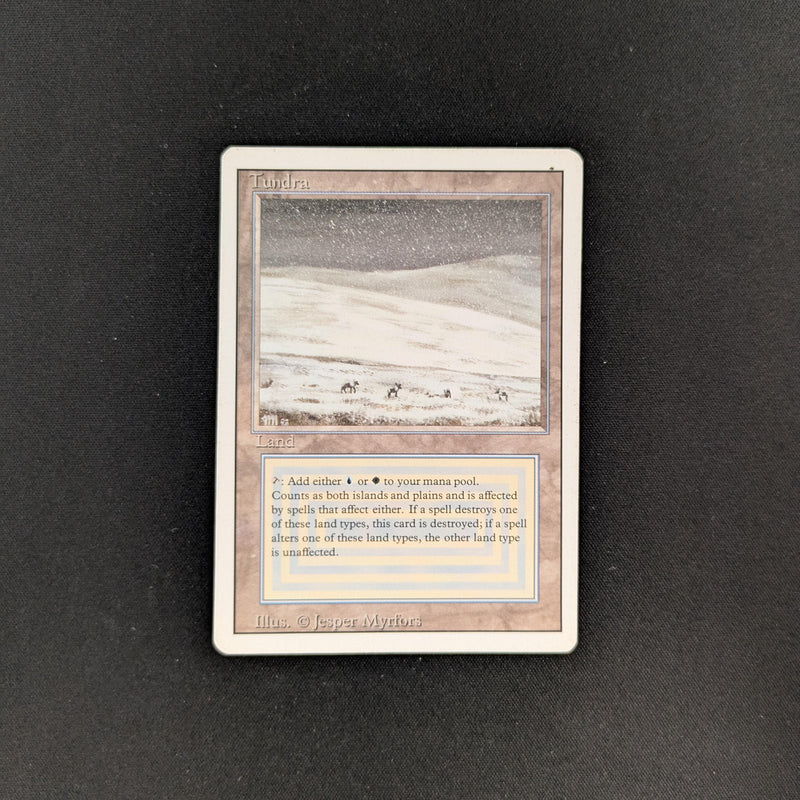 MTG Singles - Tundra - Revised - LP - DENT - 25766