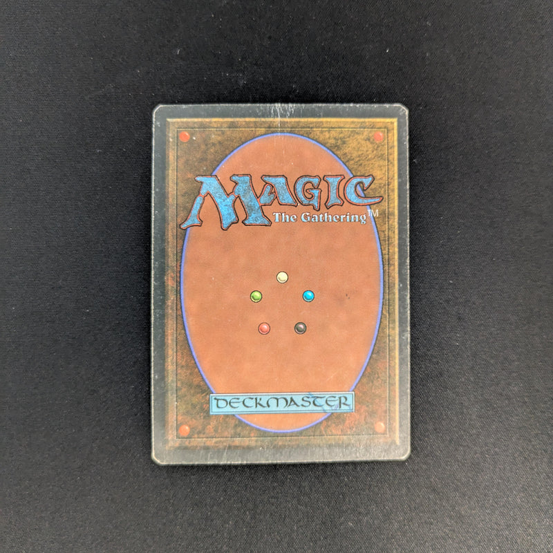 MTG Singles - Savannah - Foreign White Bordered - 