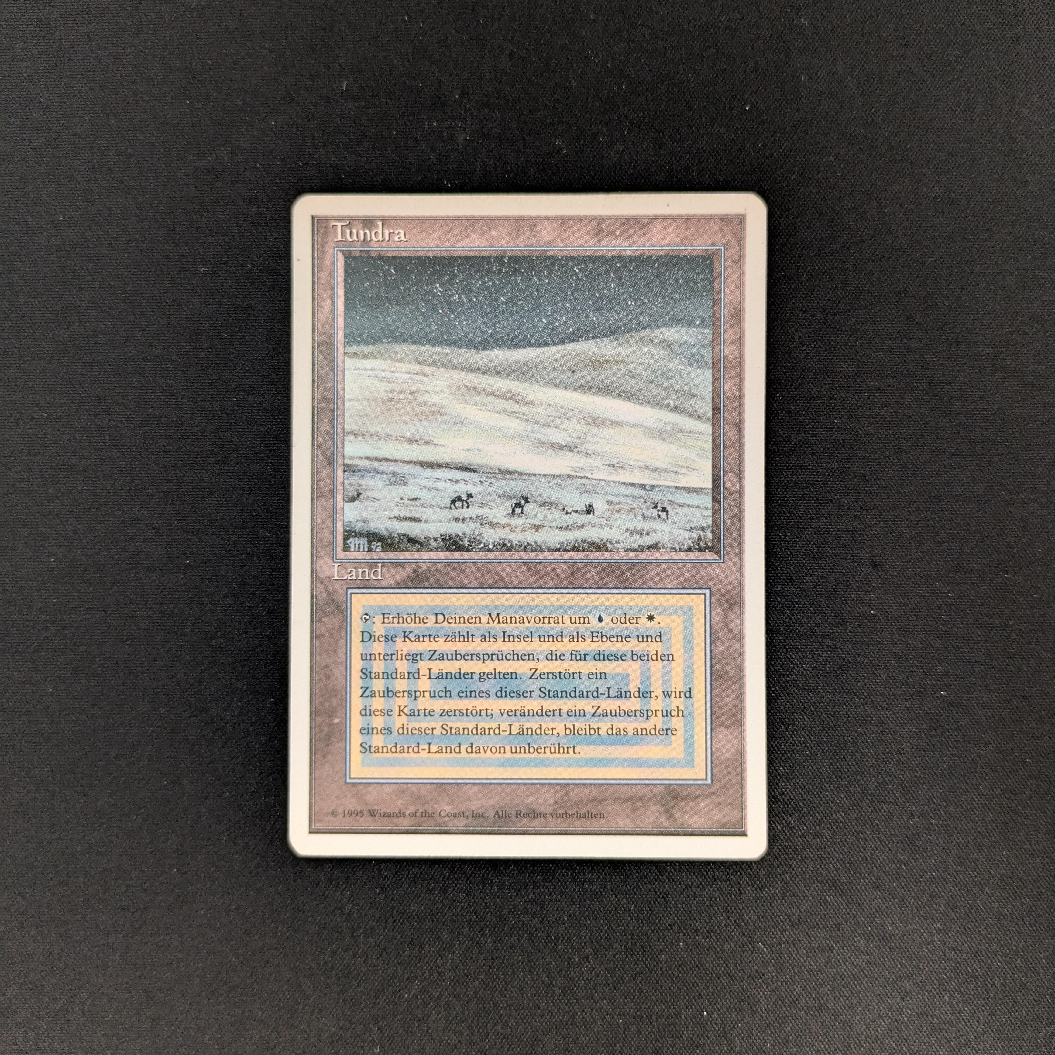Tundra (Tundra) · Foreign Black Border (FBB) #289 · Scryfall