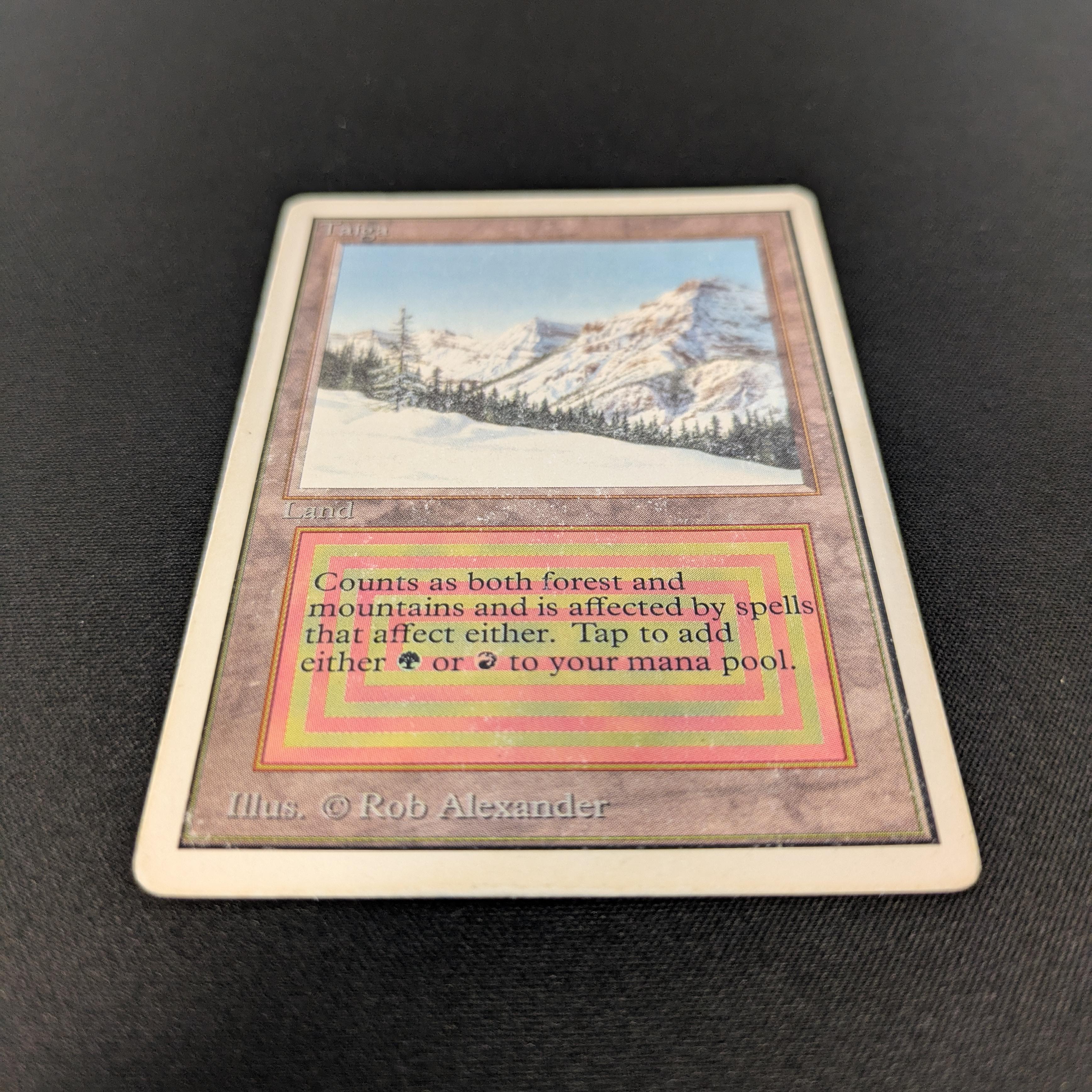 MTG Singles - Taiga - Unlimited - 