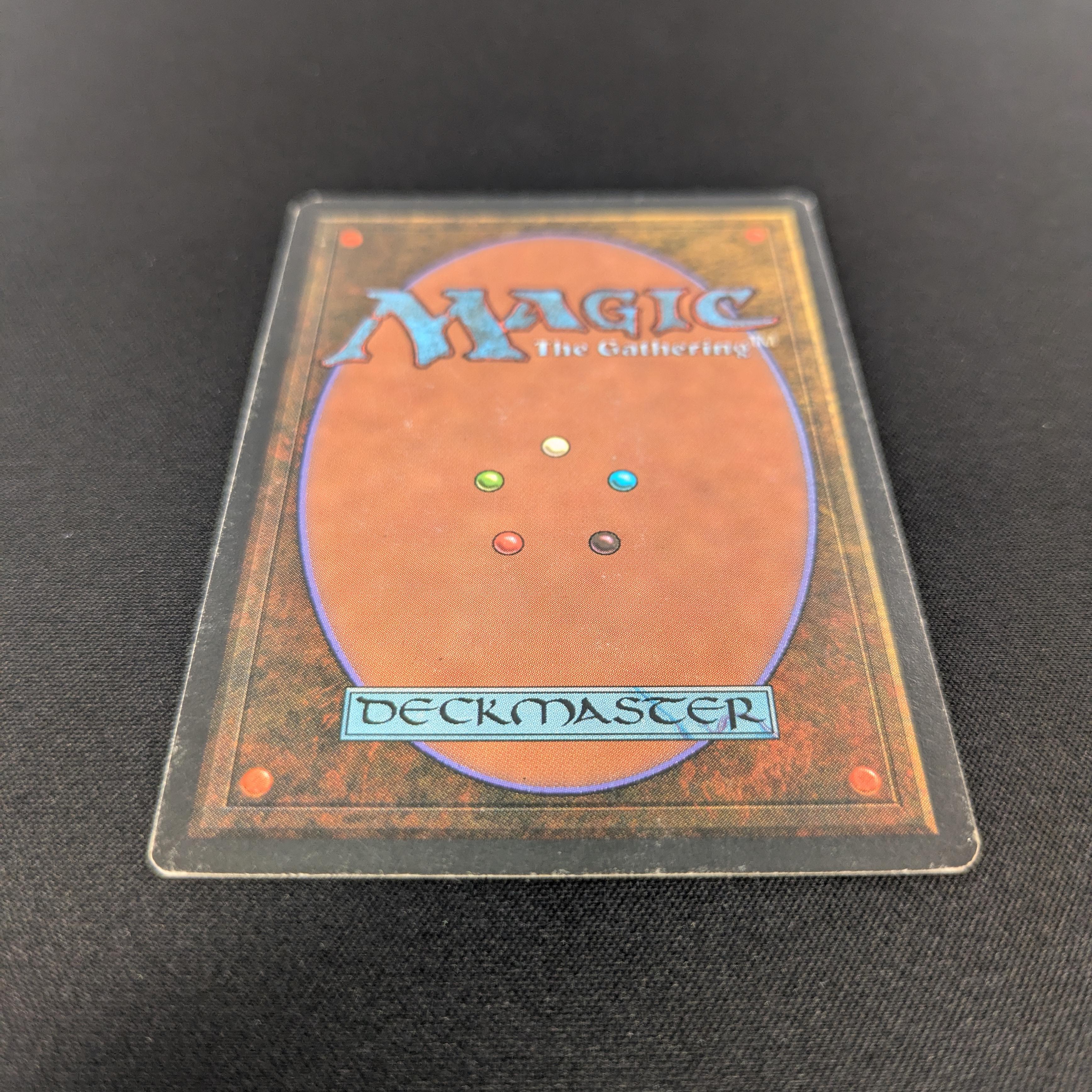 MTG Singles - Taiga - Revised - 