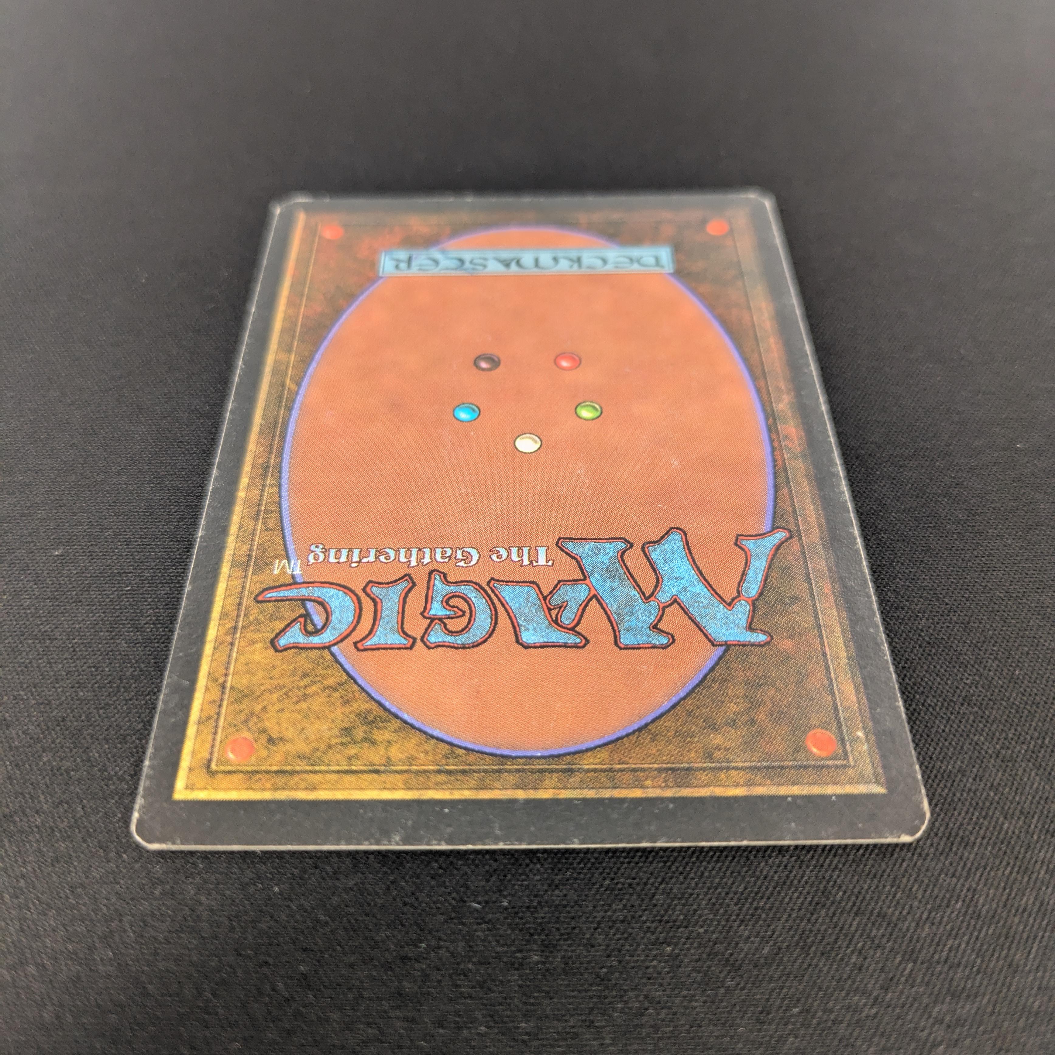 MTG Singles - Taiga - Revised - 