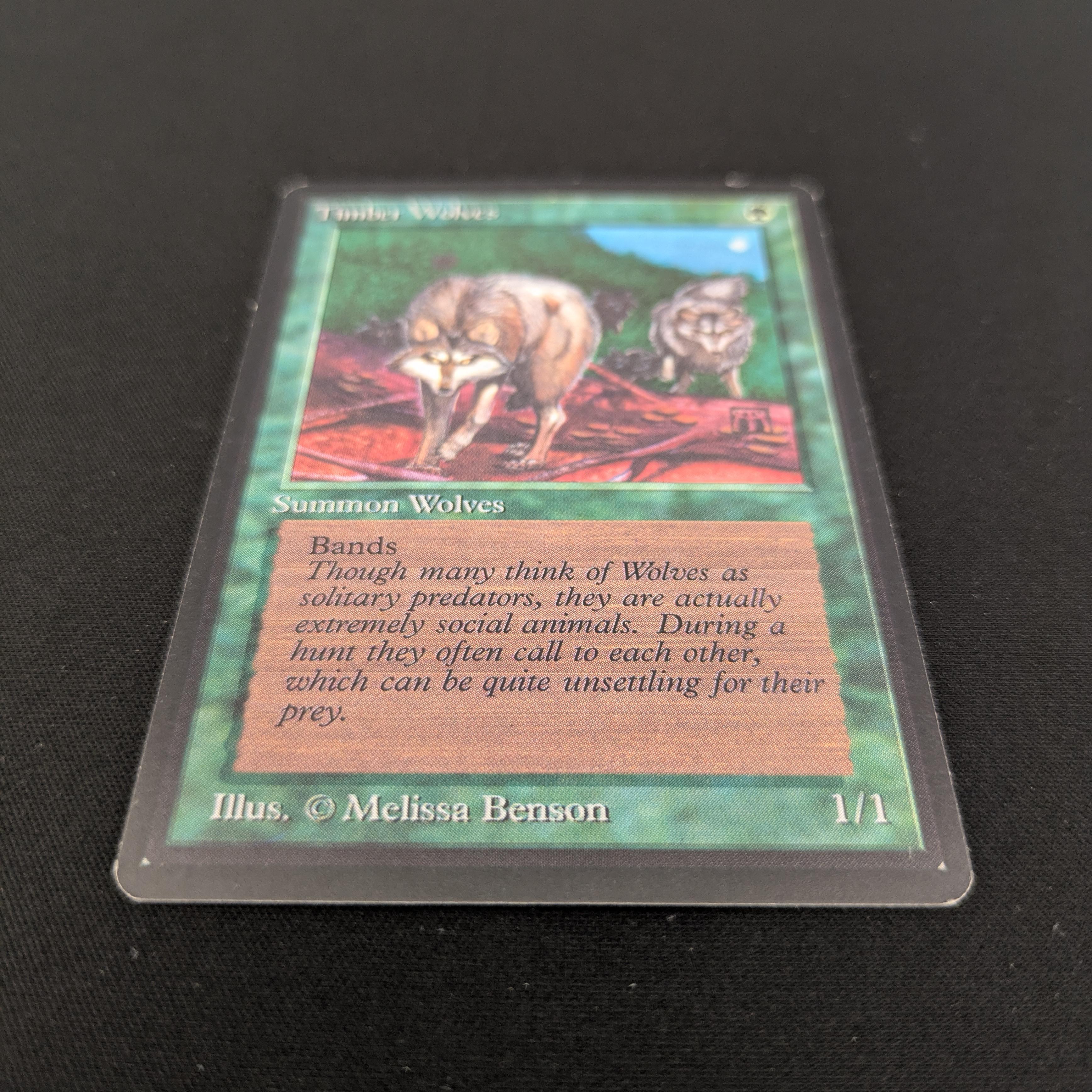 MTG Singles - Timber Wolves - Beta - 