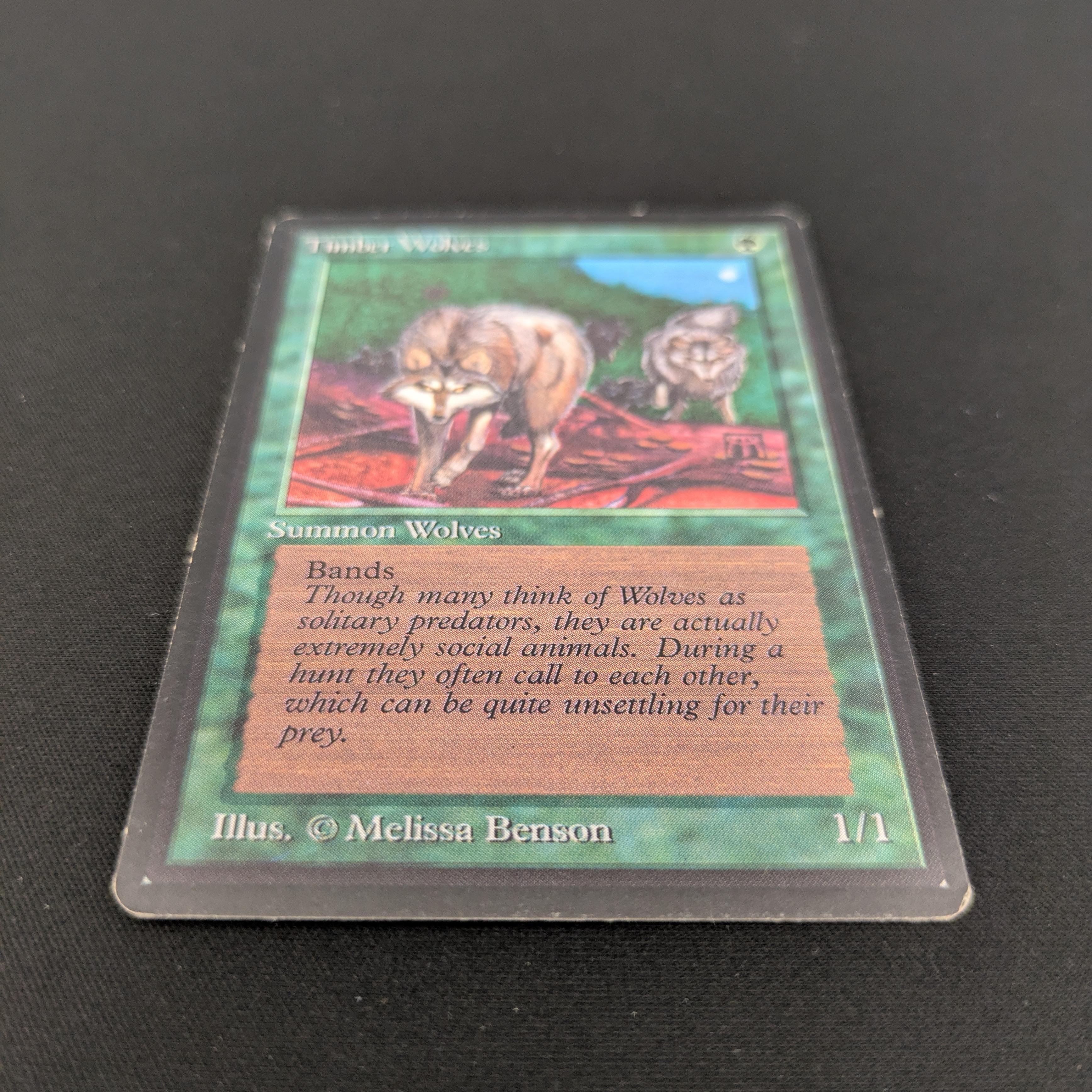 MTG Singles - Timber Wolves - Beta - 