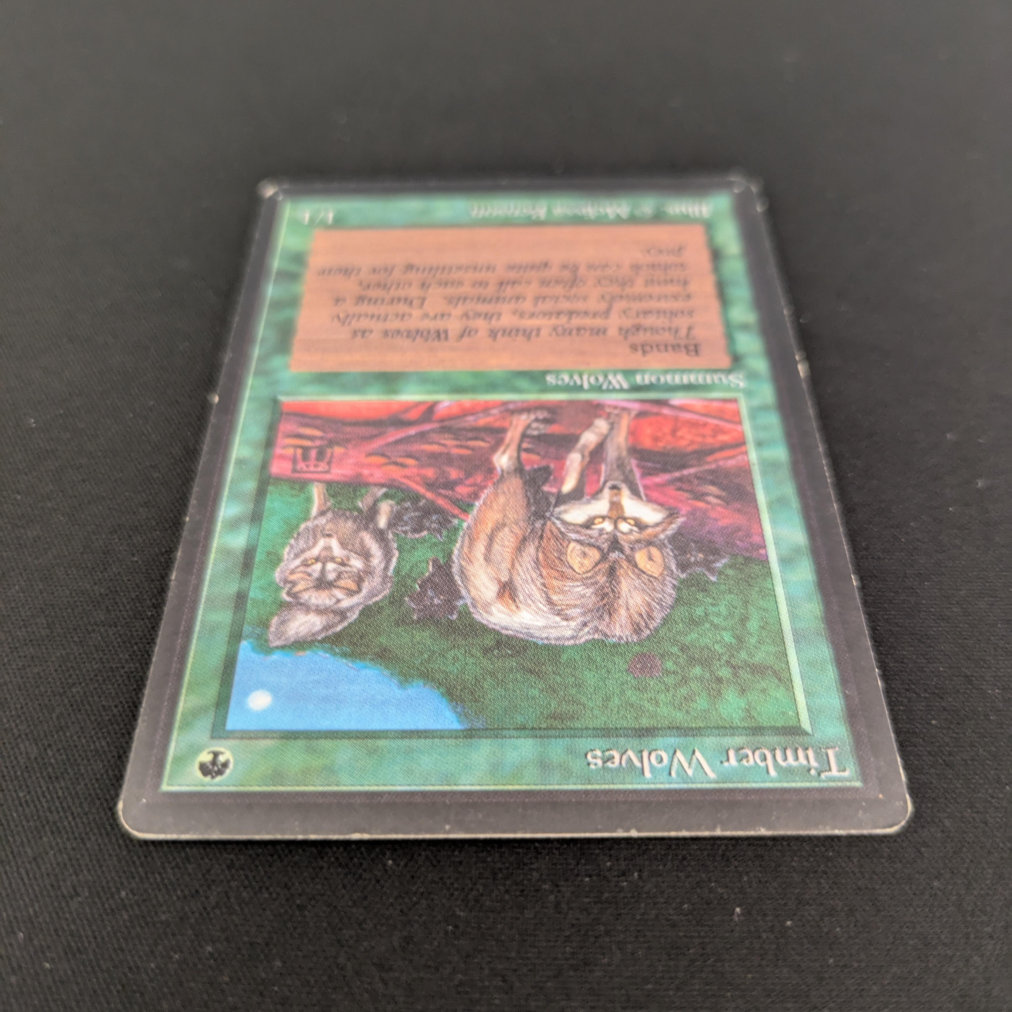 MTG Singles - Timber Wolves - Beta - 