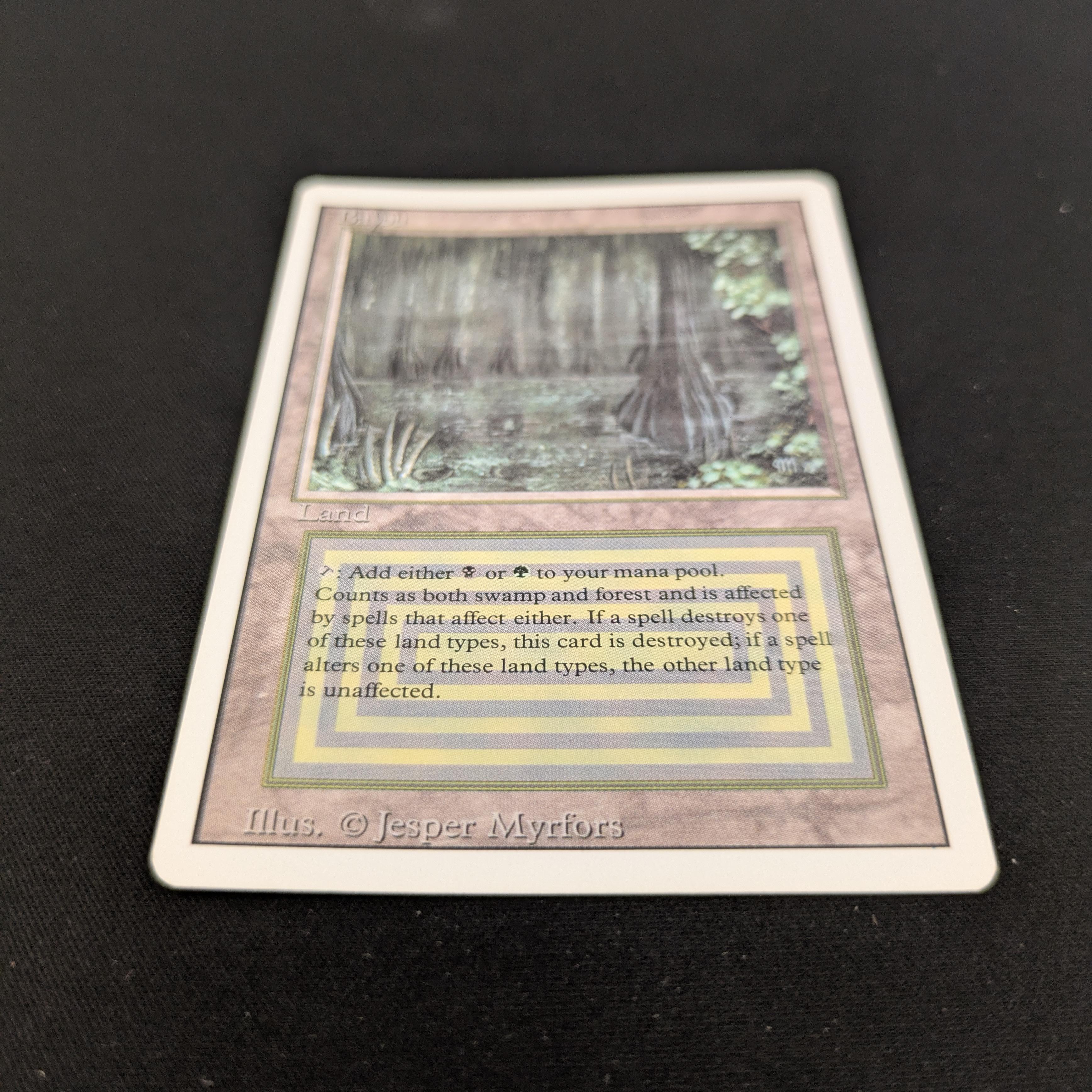 Bayou - Revised