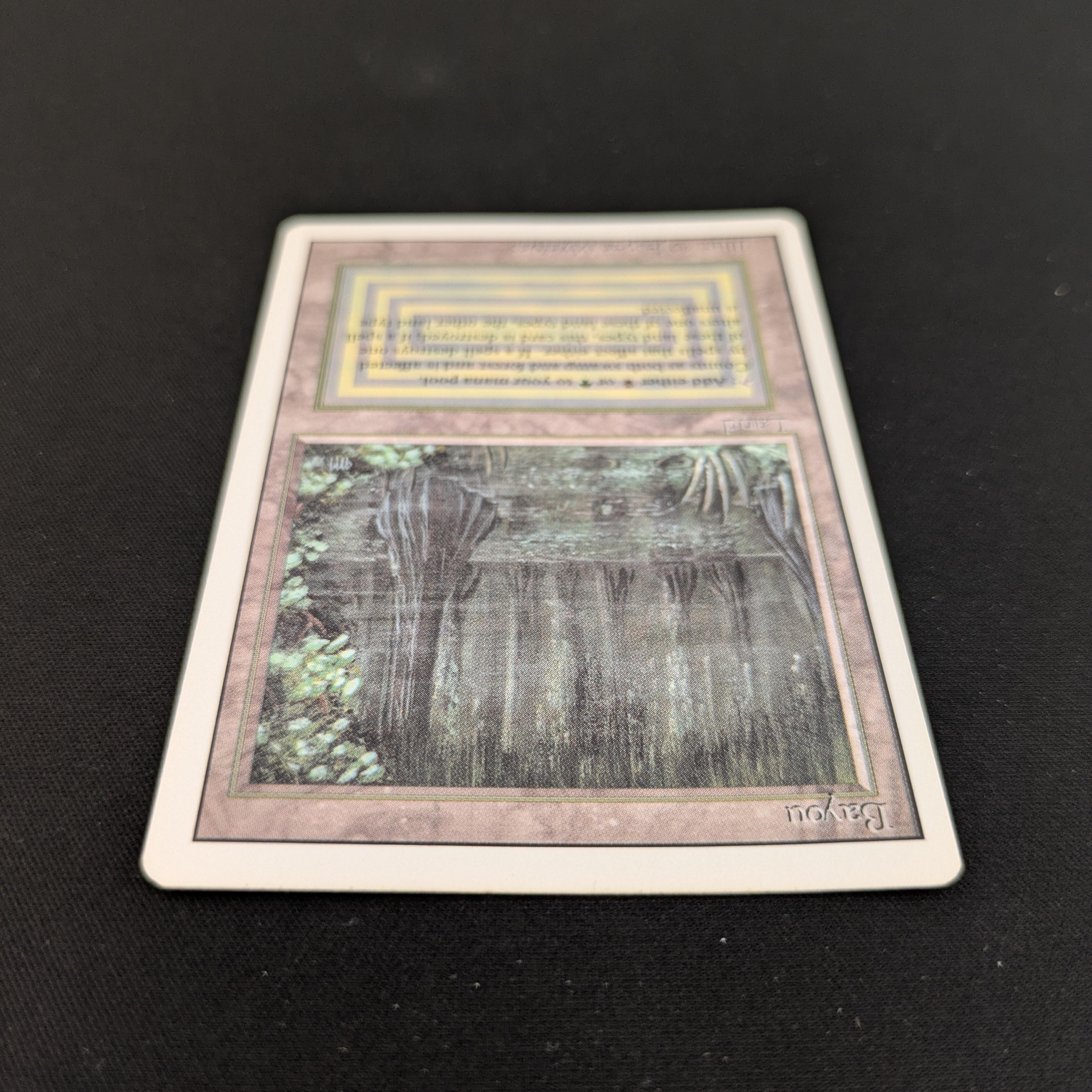 Bayou - Revised