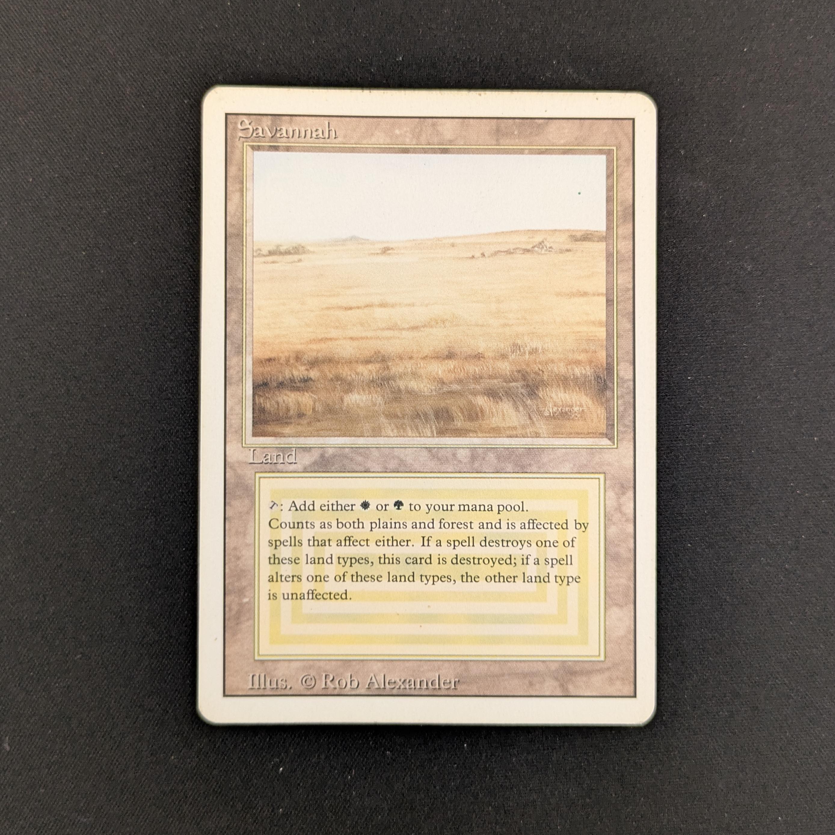 MTG Singles - Savannah - Revised - LP - 25943