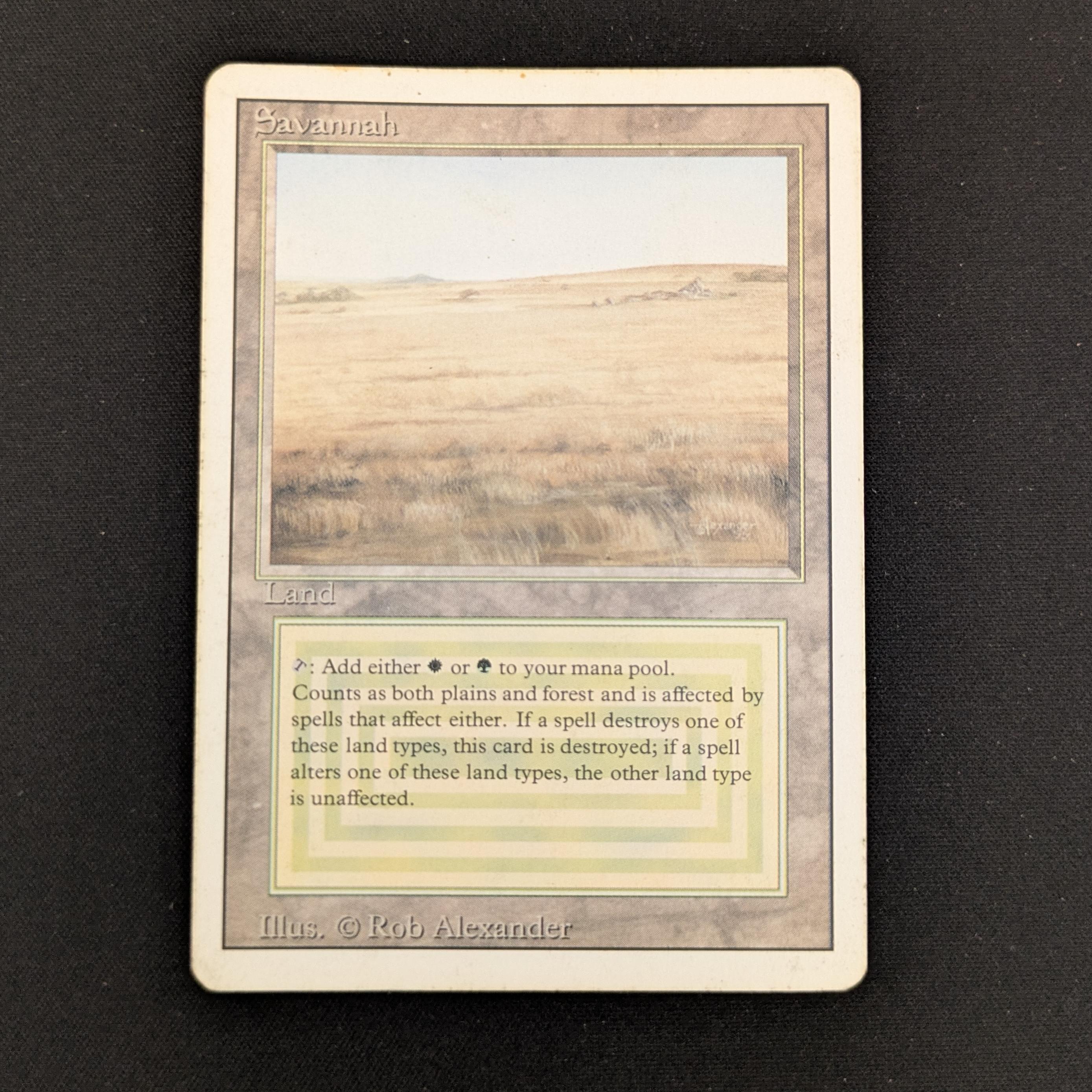 MTG Singles - Savannah - Revised - PL - DENT - 25945