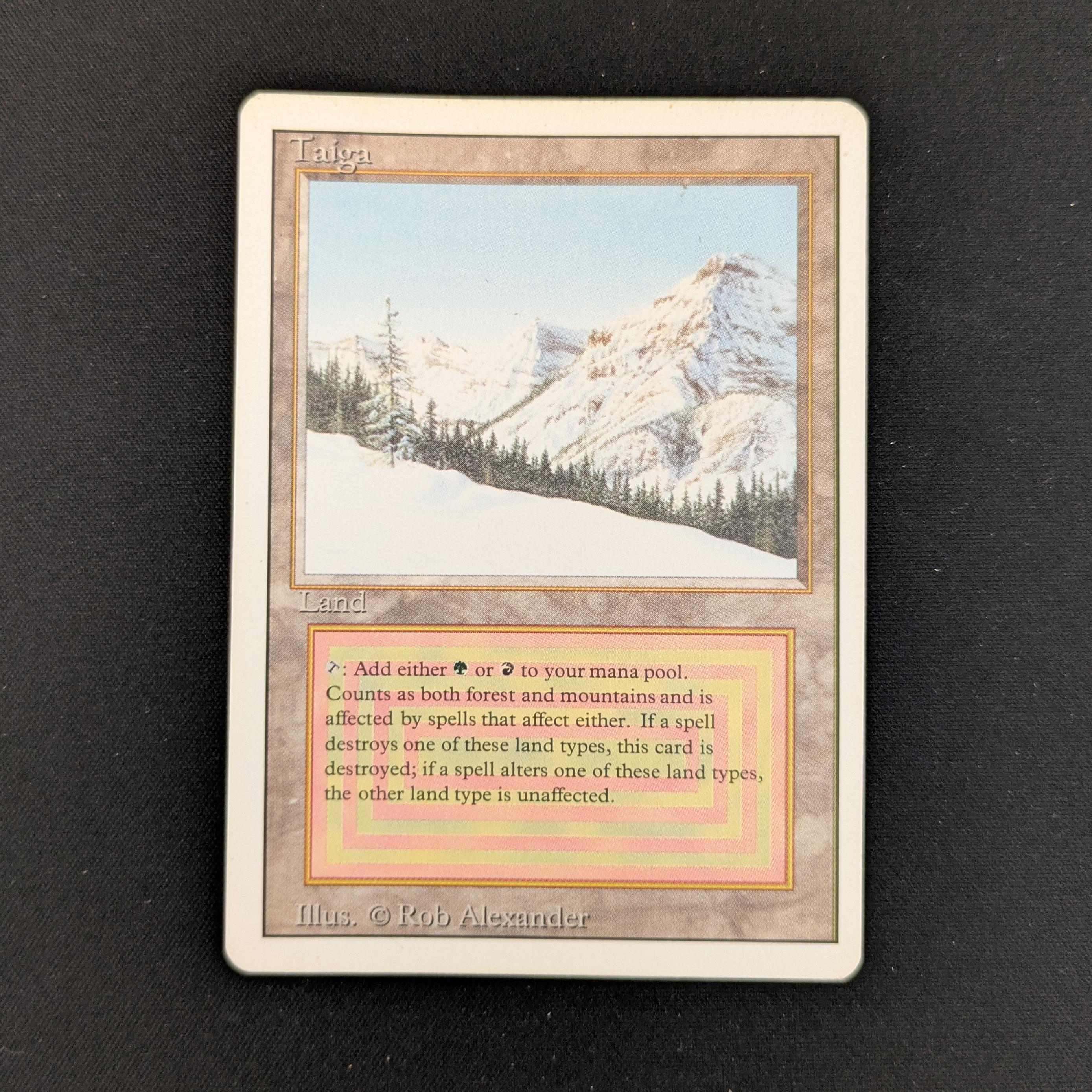 MTG Taiga 【IE】鑑定 MTG Taiga 【IE】鑑定