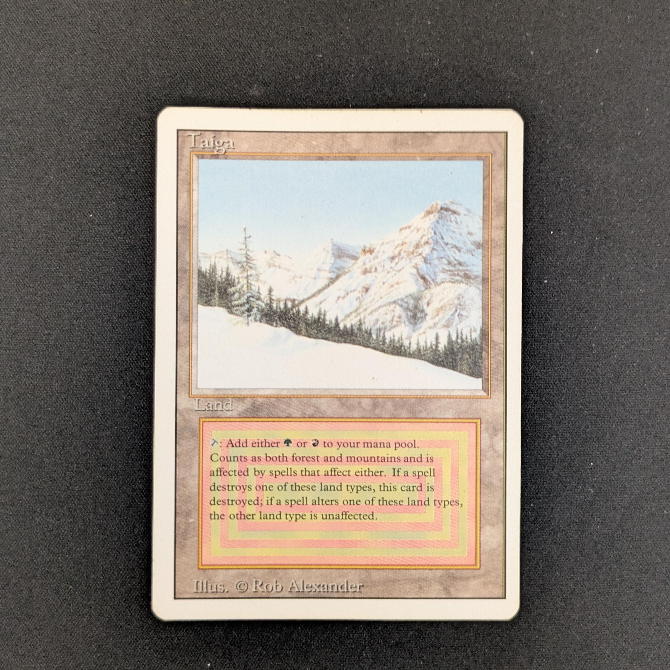 MTG Singles - Taiga - Revised - LP - 25953