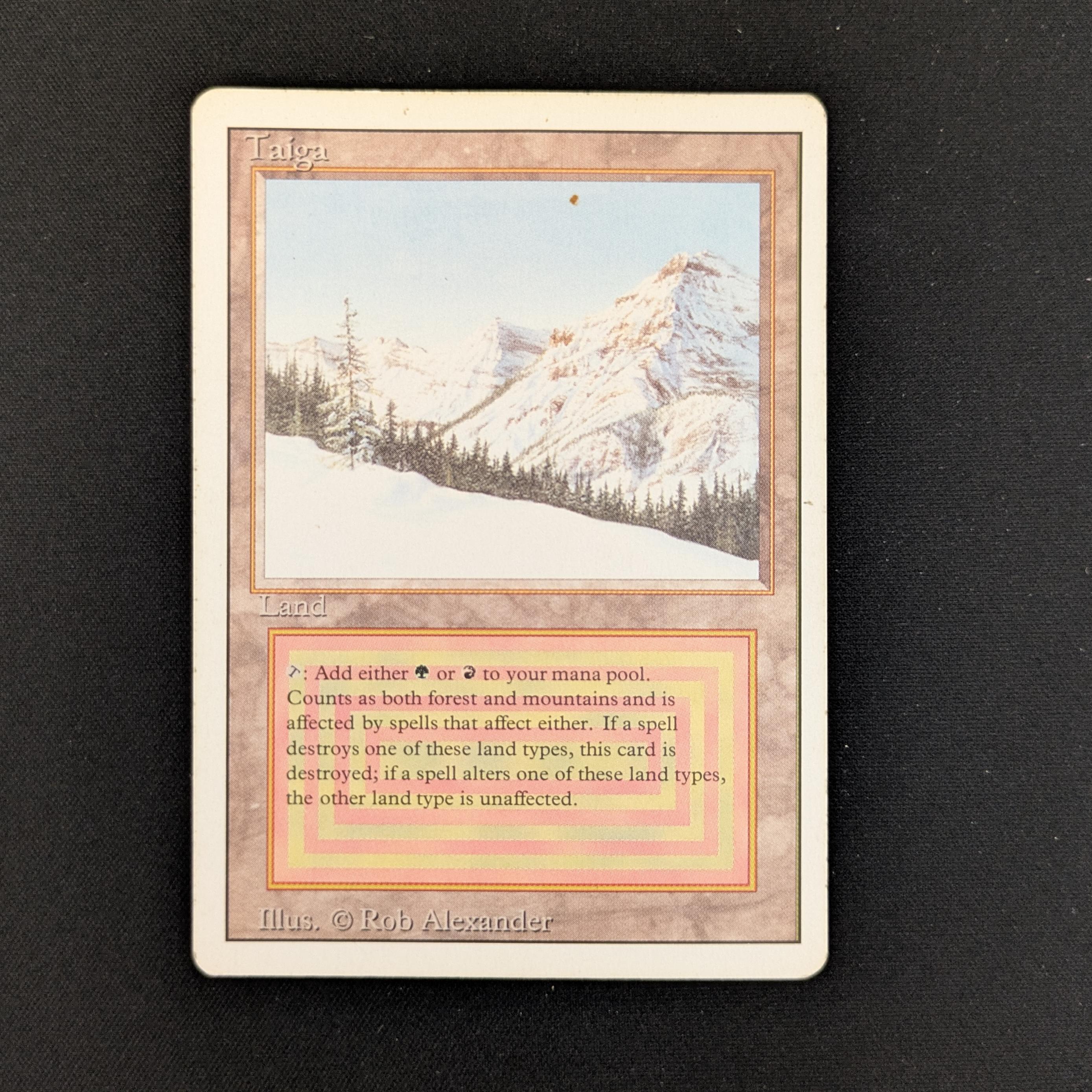 MTG Singles - Taiga - Revised - PL - 25954