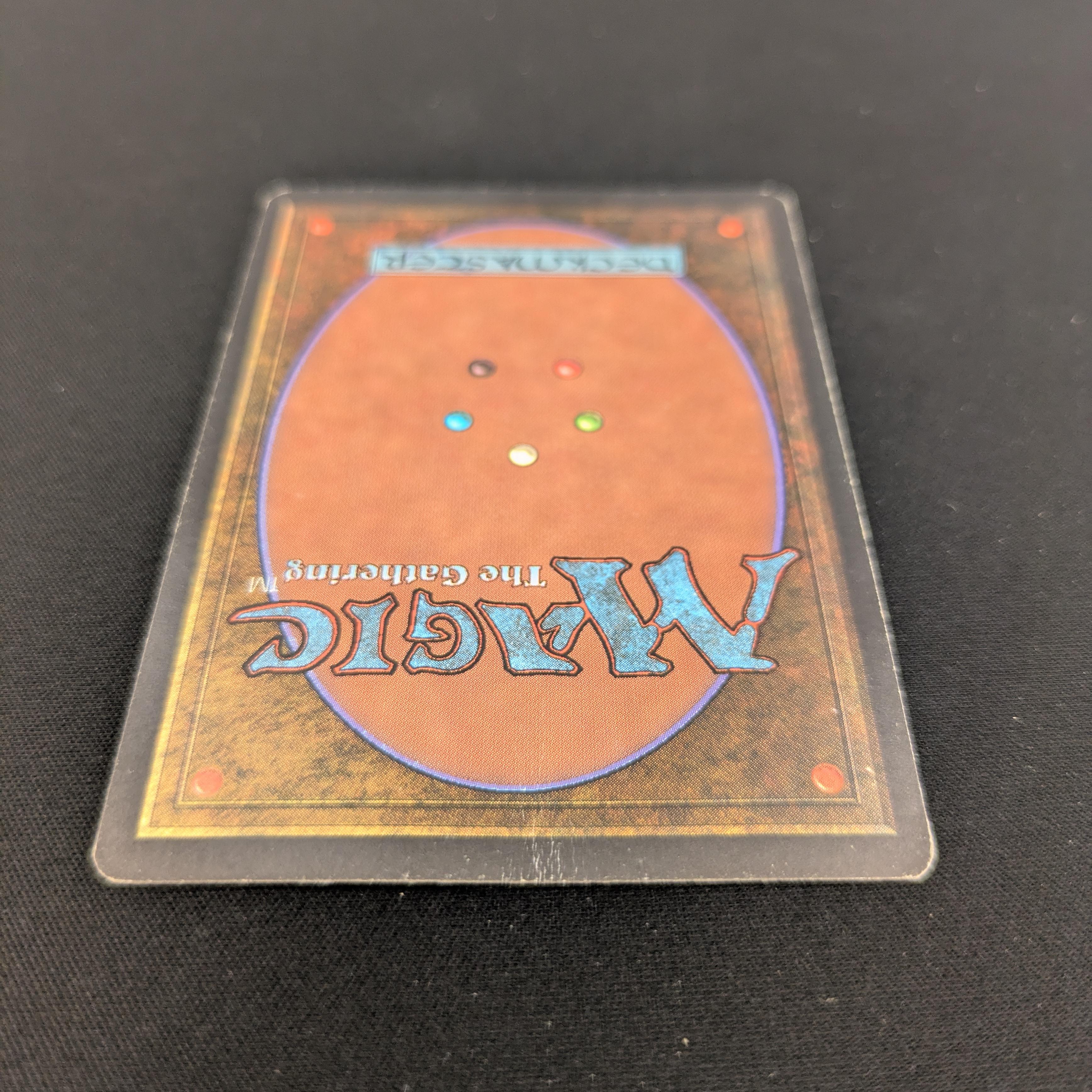 MTG Singles - Taiga - Revised - 