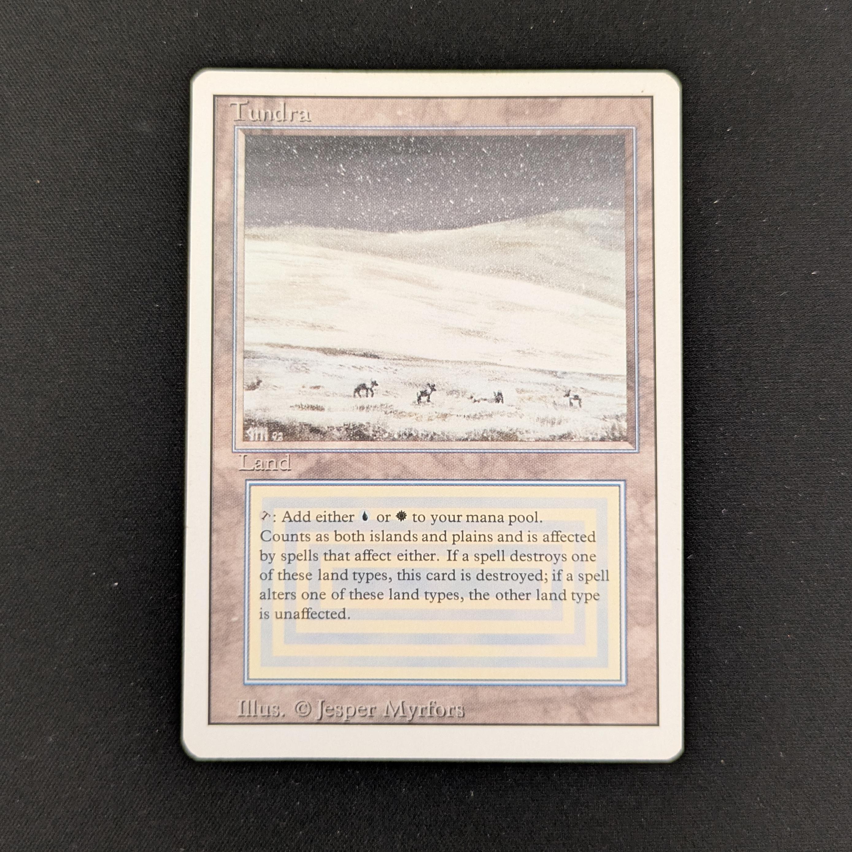 MTG Singles - Tundra - Revised - 