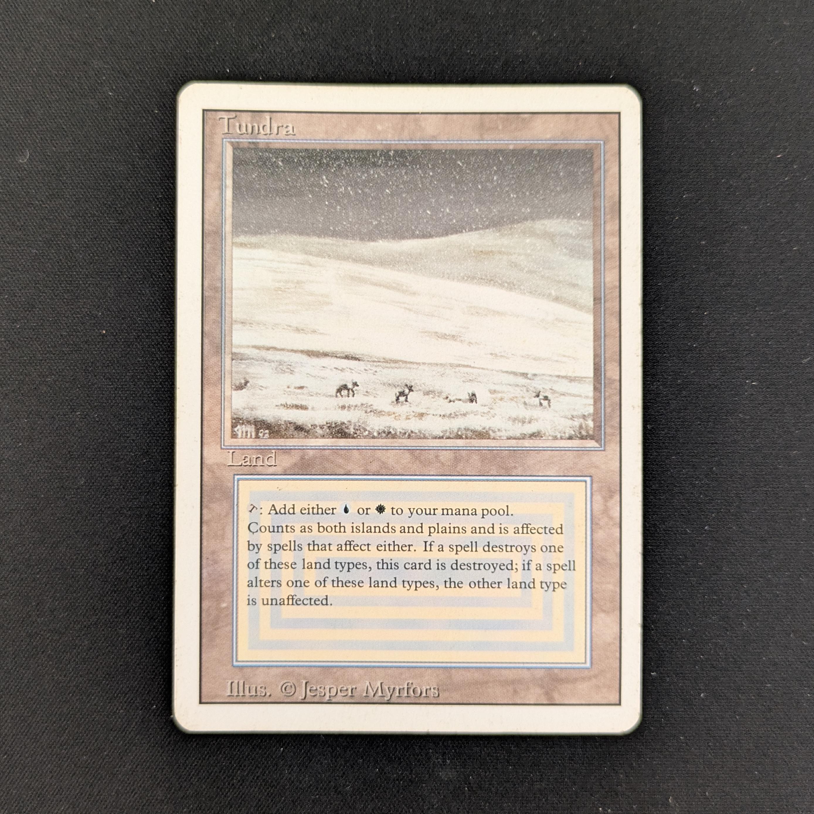 PSA 10 1994 MTG Revised German Edition White Border Dual