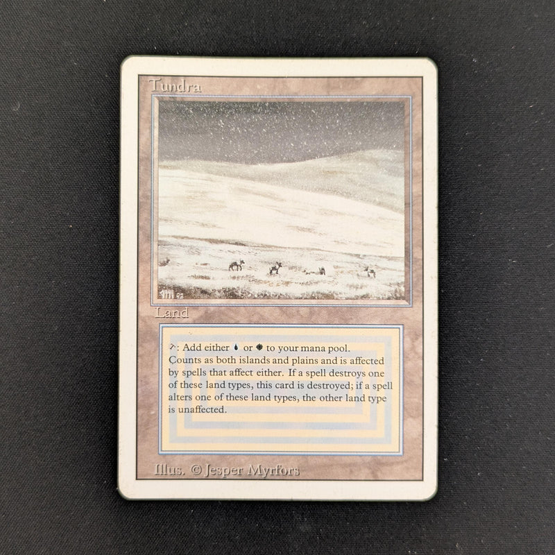 MTG Singles - Tundra - Revised - LP - 25962