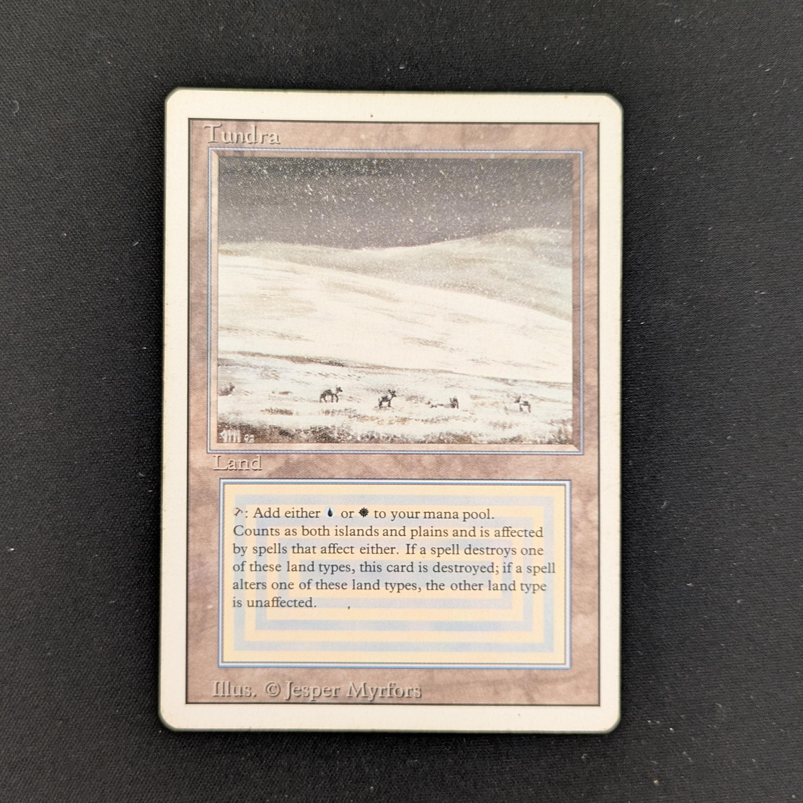 MTG Singles - Tundra - Revised - PL - 25963