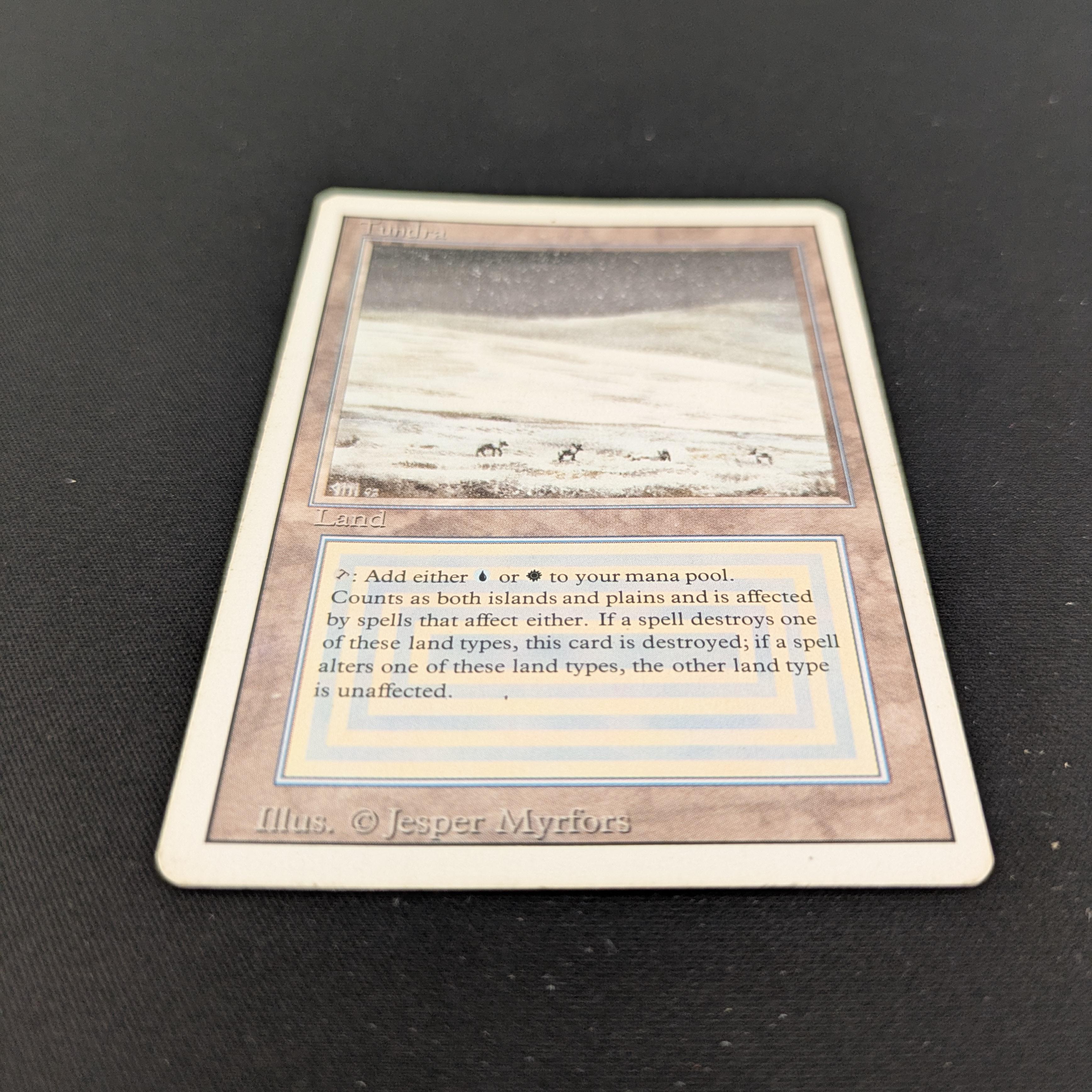 MTG Singles - Tundra - Revised - 