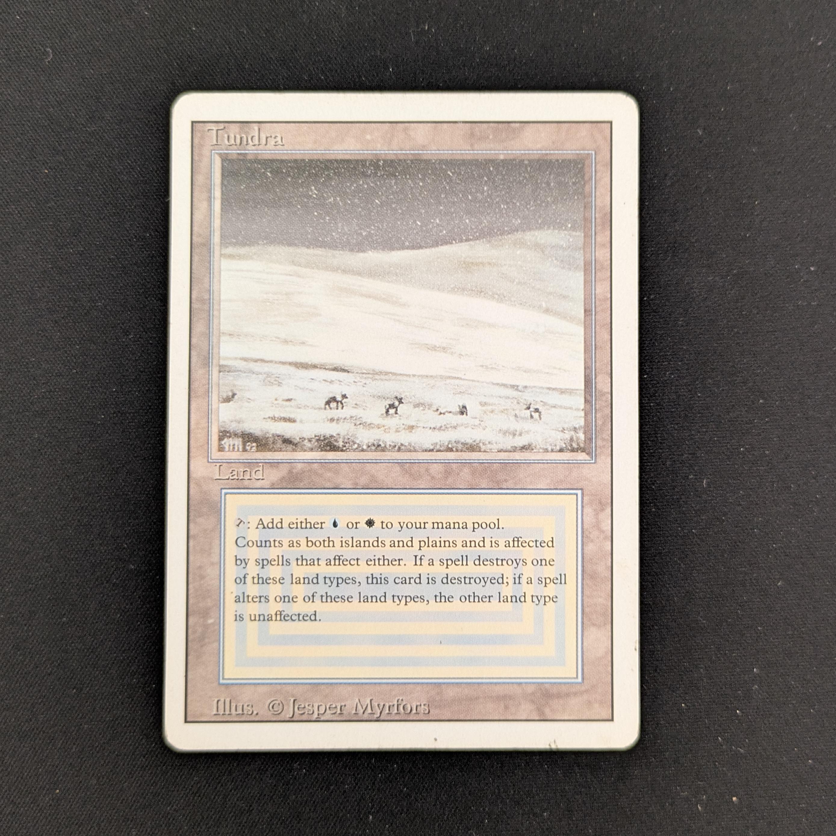 MTG Singles - Tundra - Revised - PL - 25964