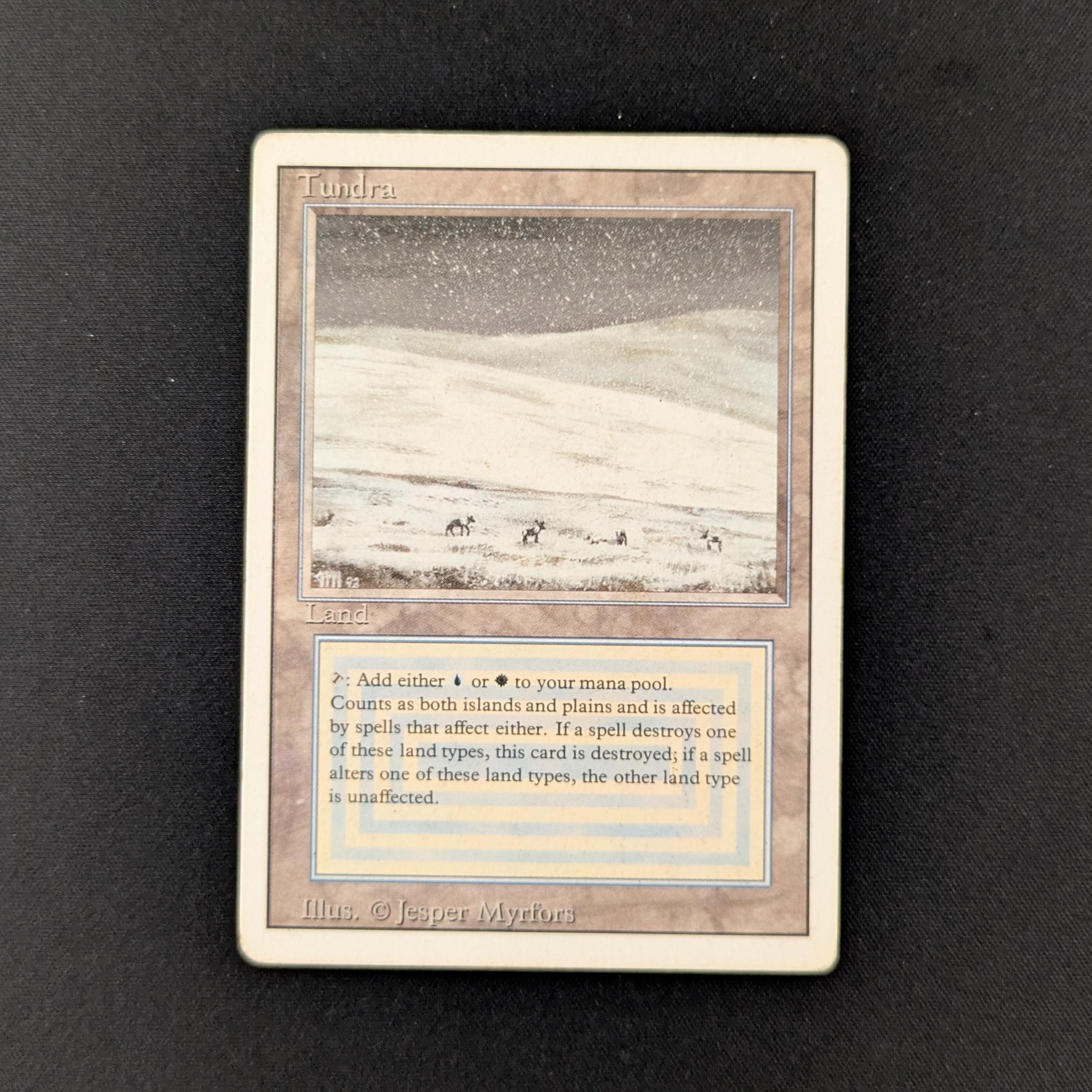 MTG Singles - Tundra - Revised - PL - INKED - 26023