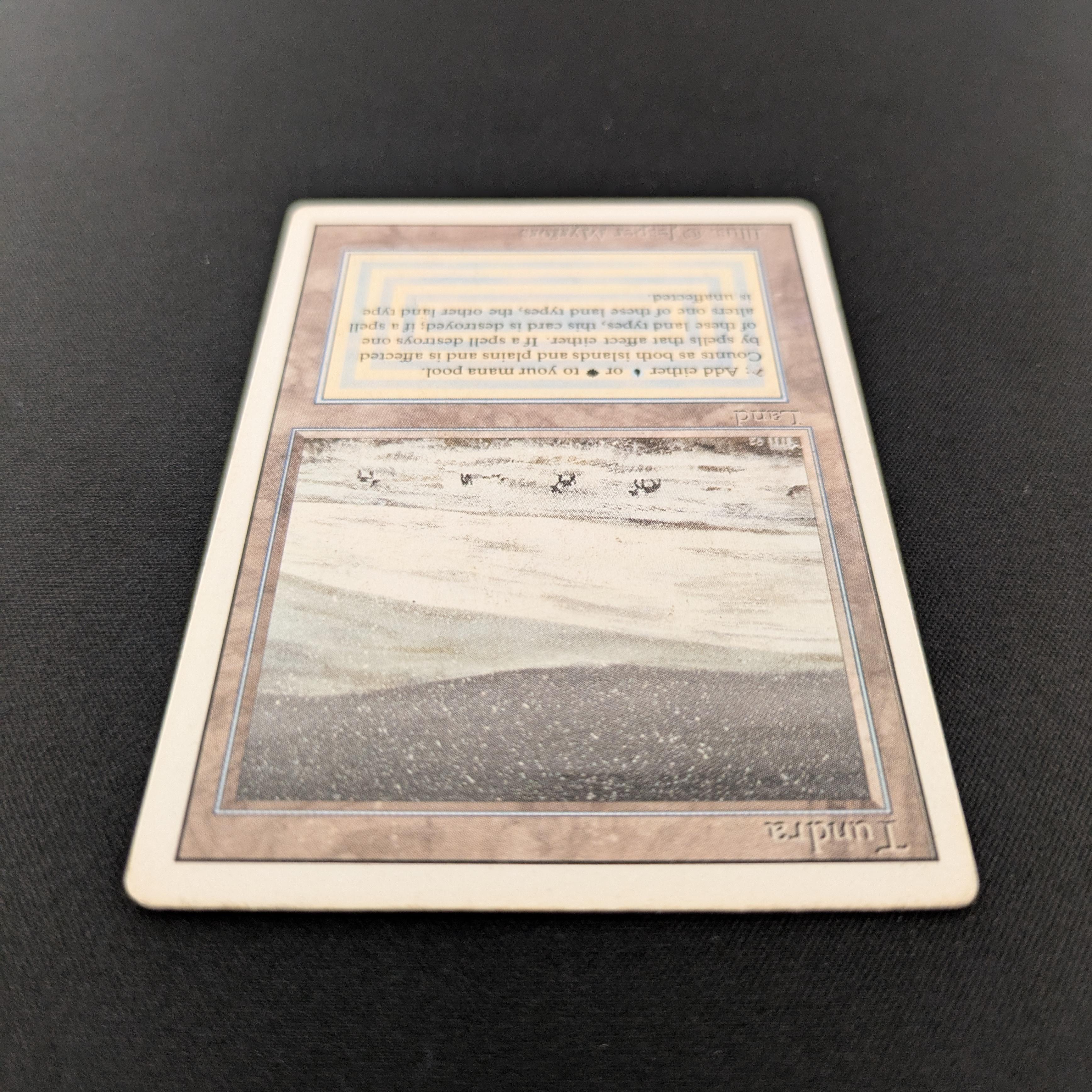 MTG Singles - Tundra - Revised - 