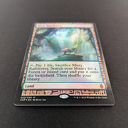 MTG Singles - [FOIL] Misty Rainforest - Zendikar Expeditions - EX - 