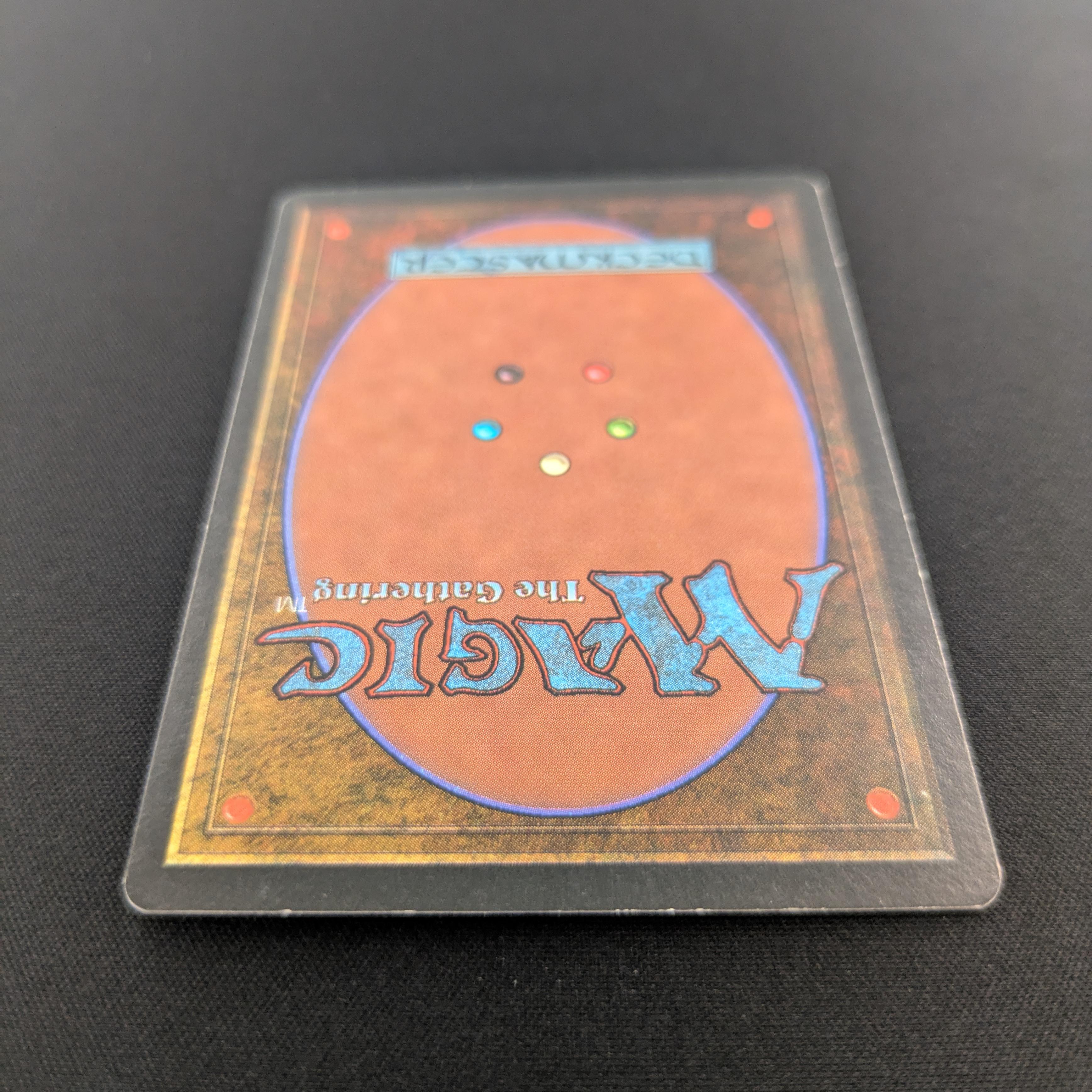 MTG Singles - Taiga - Revised - 