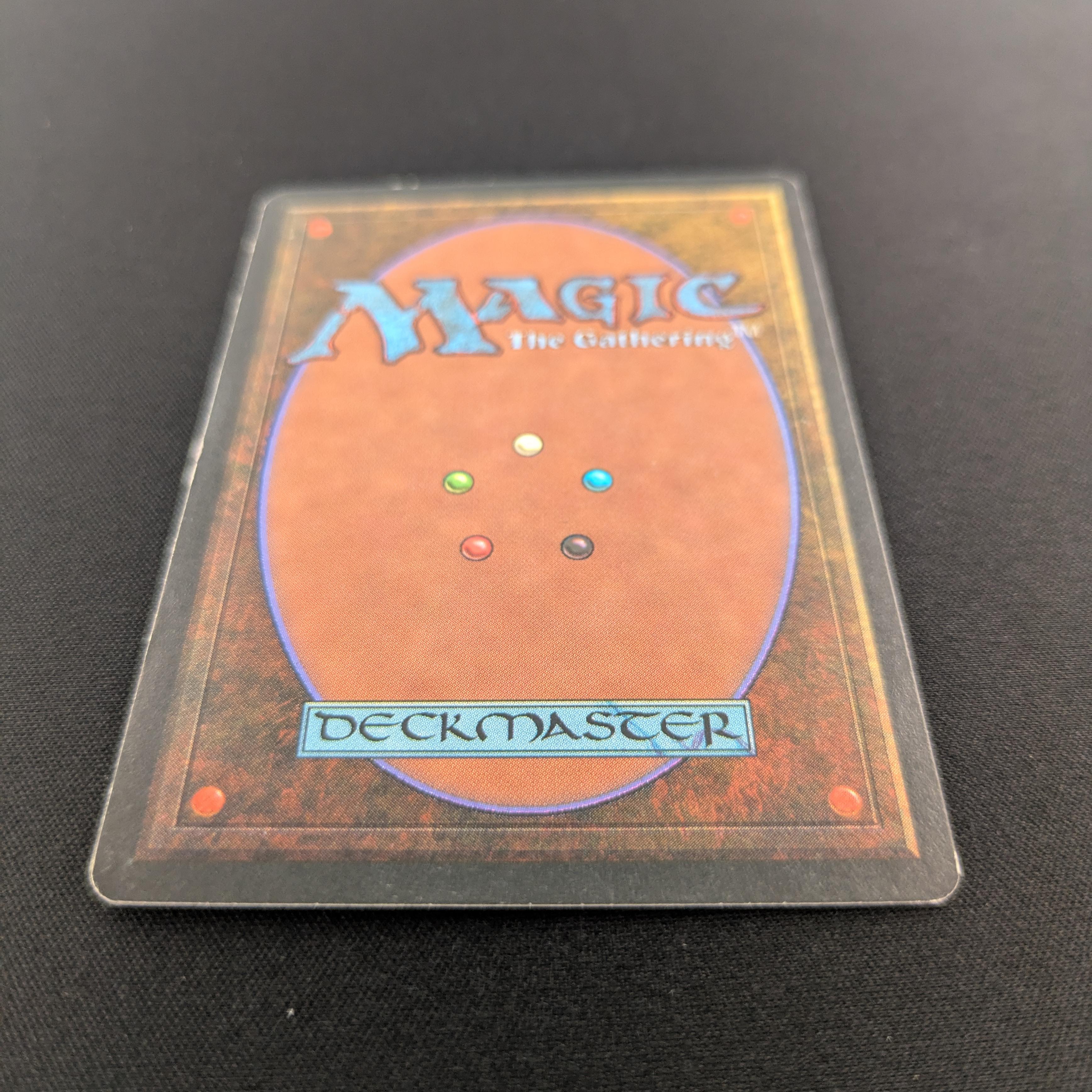 MTG Singles - Taiga - Revised - 