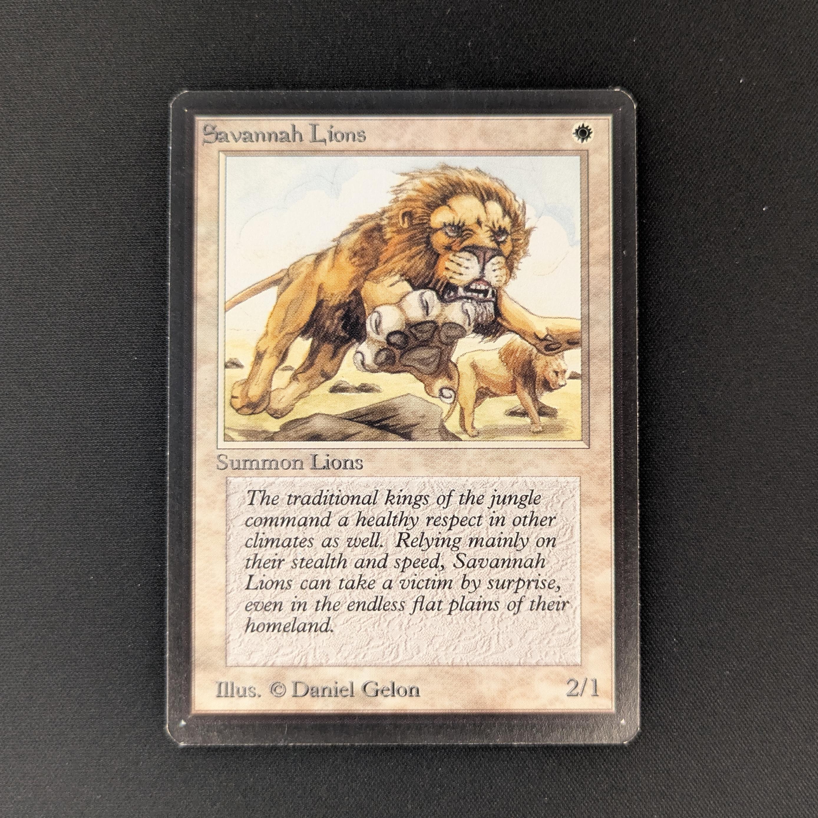 MTG Singles - Savannah Lions - Beta - NM - 26198