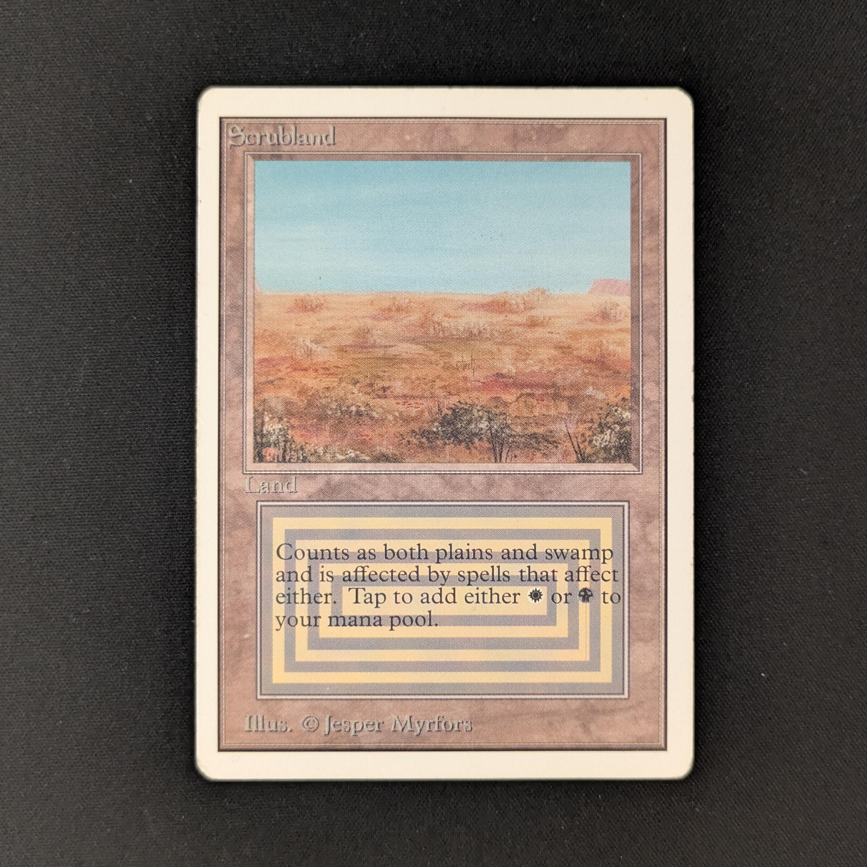 MTG Singles - Scrubland - Unlimited - PL - 26215