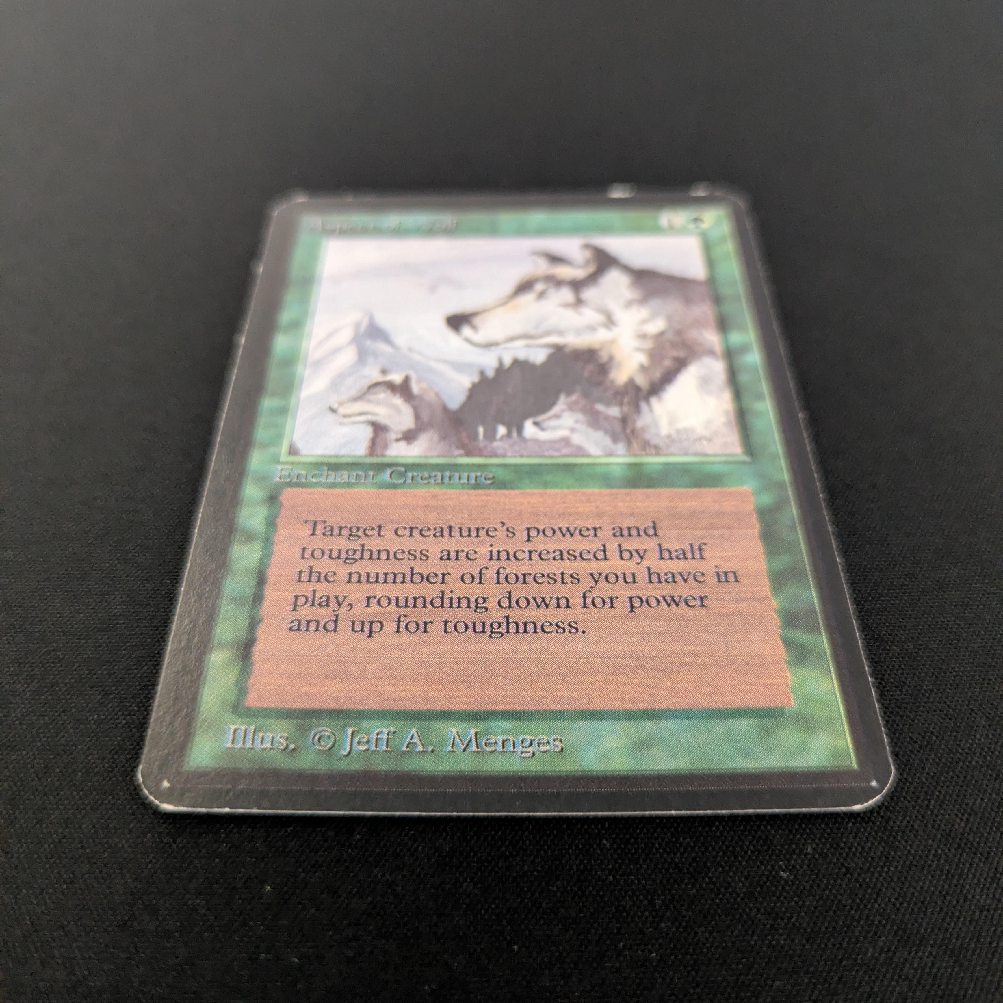 MTG Singles - Aspect of Wolf - Alpha - 