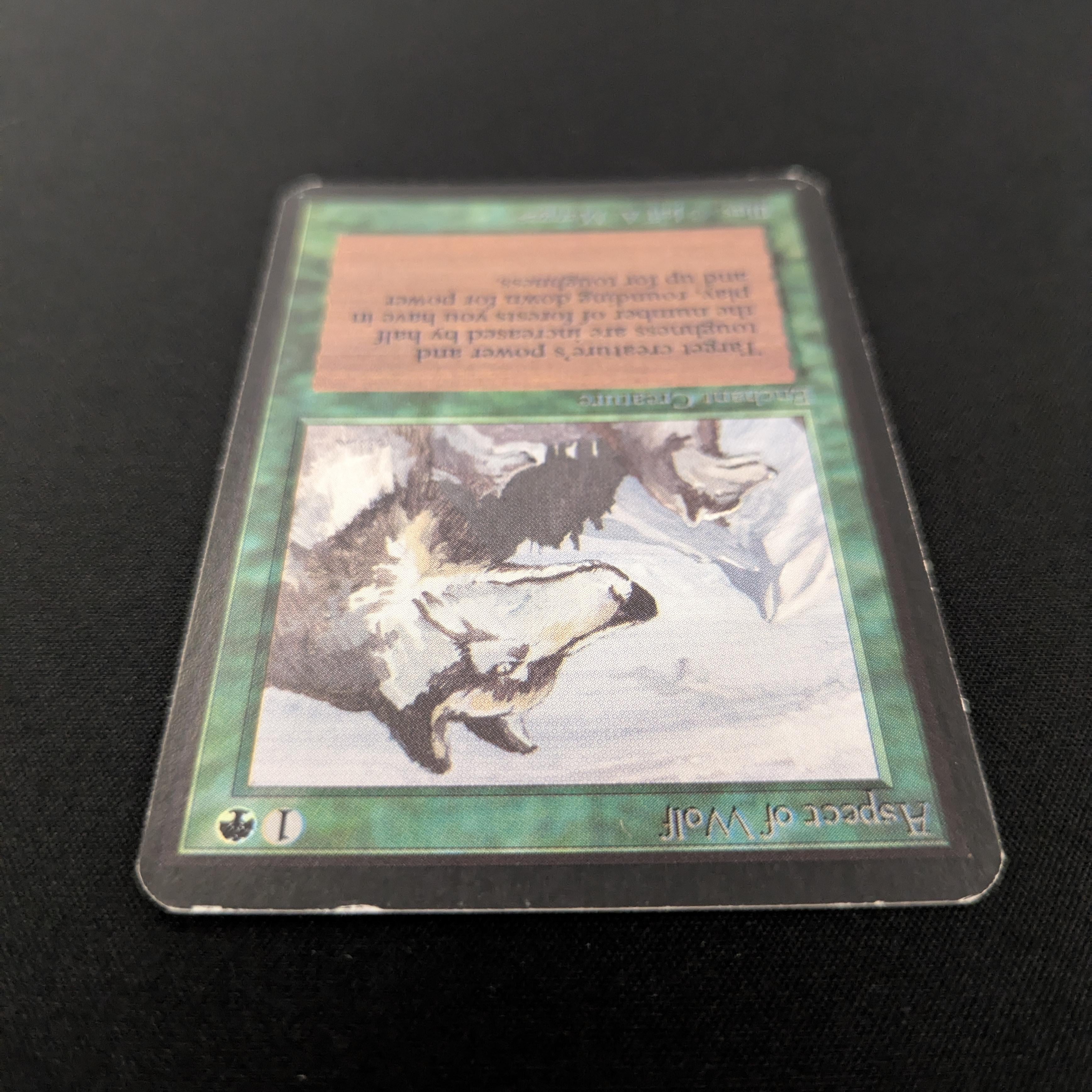 MTG Singles - Aspect of Wolf - Alpha - 