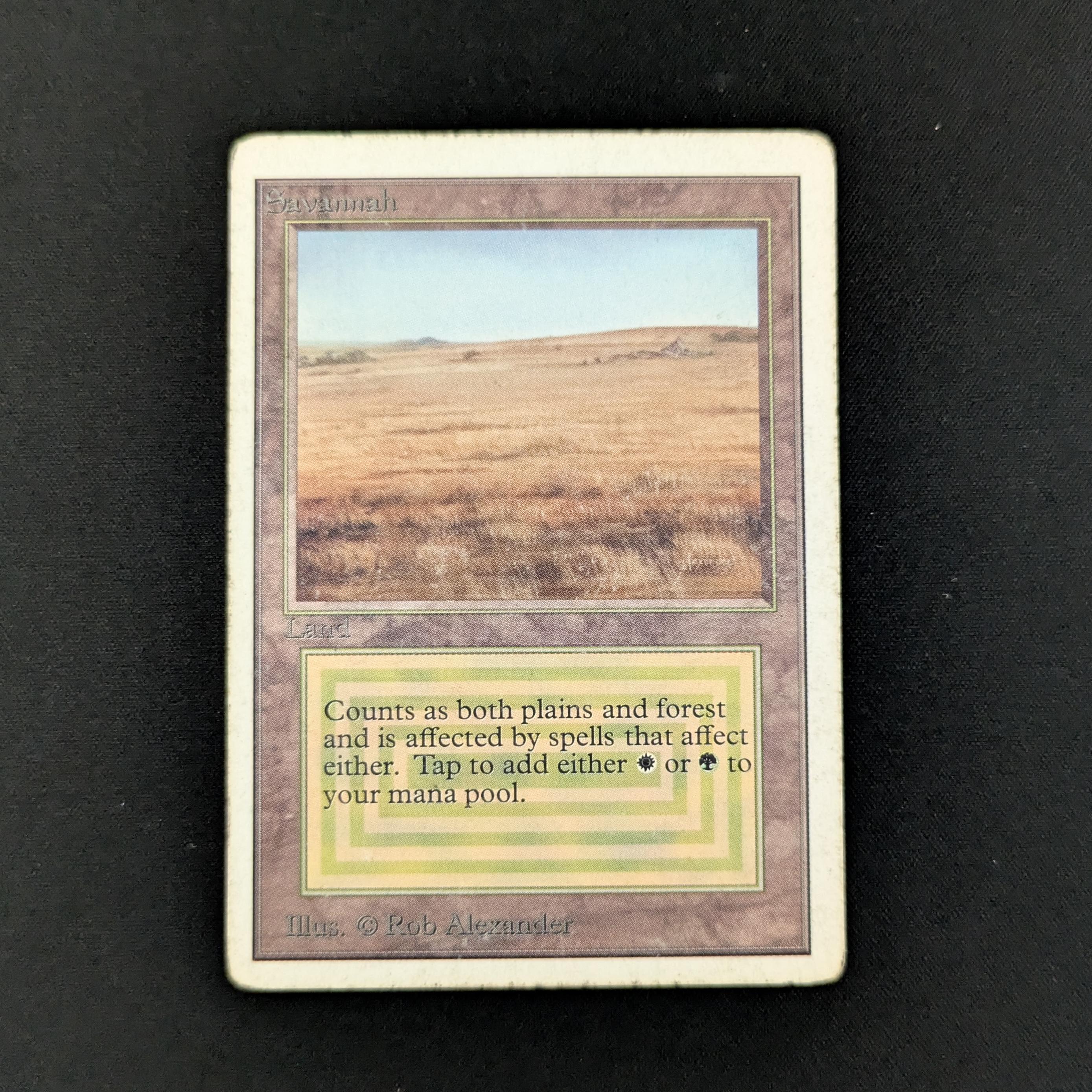 MTG Singles - Savannah - Unlimited - PO - 26424