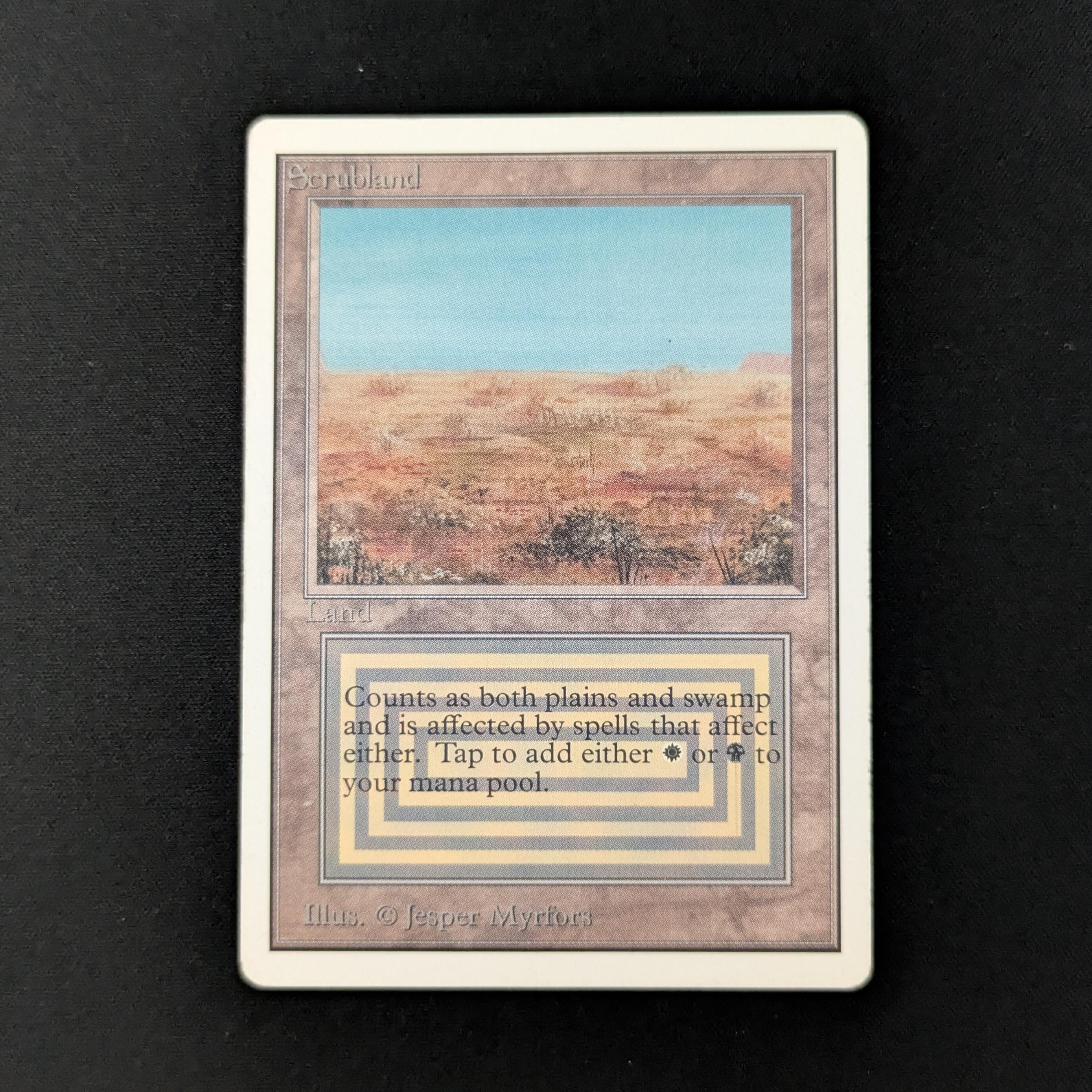 MTG Singles - Scrubland - Unlimited - PL - 26428