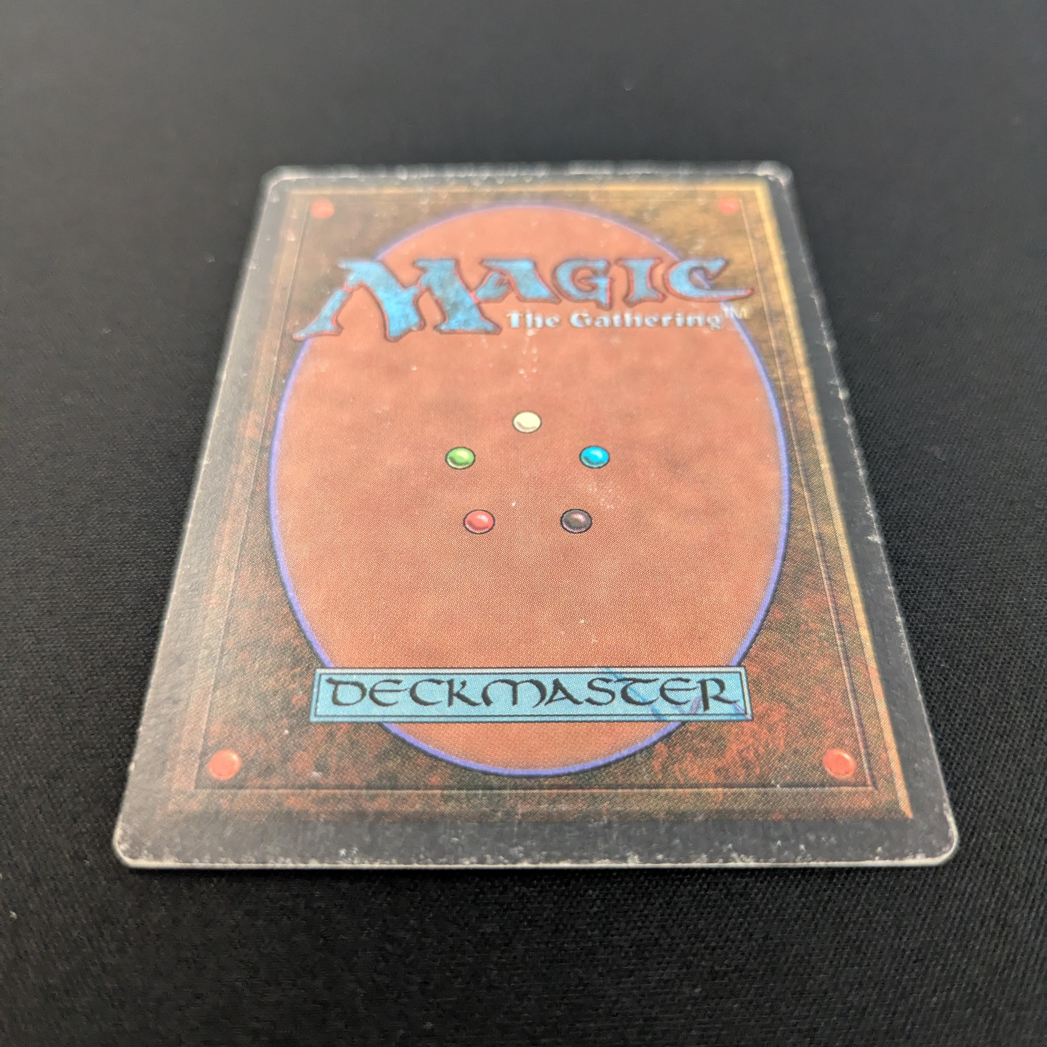 MTG Singles - Taiga - Unlimited - 