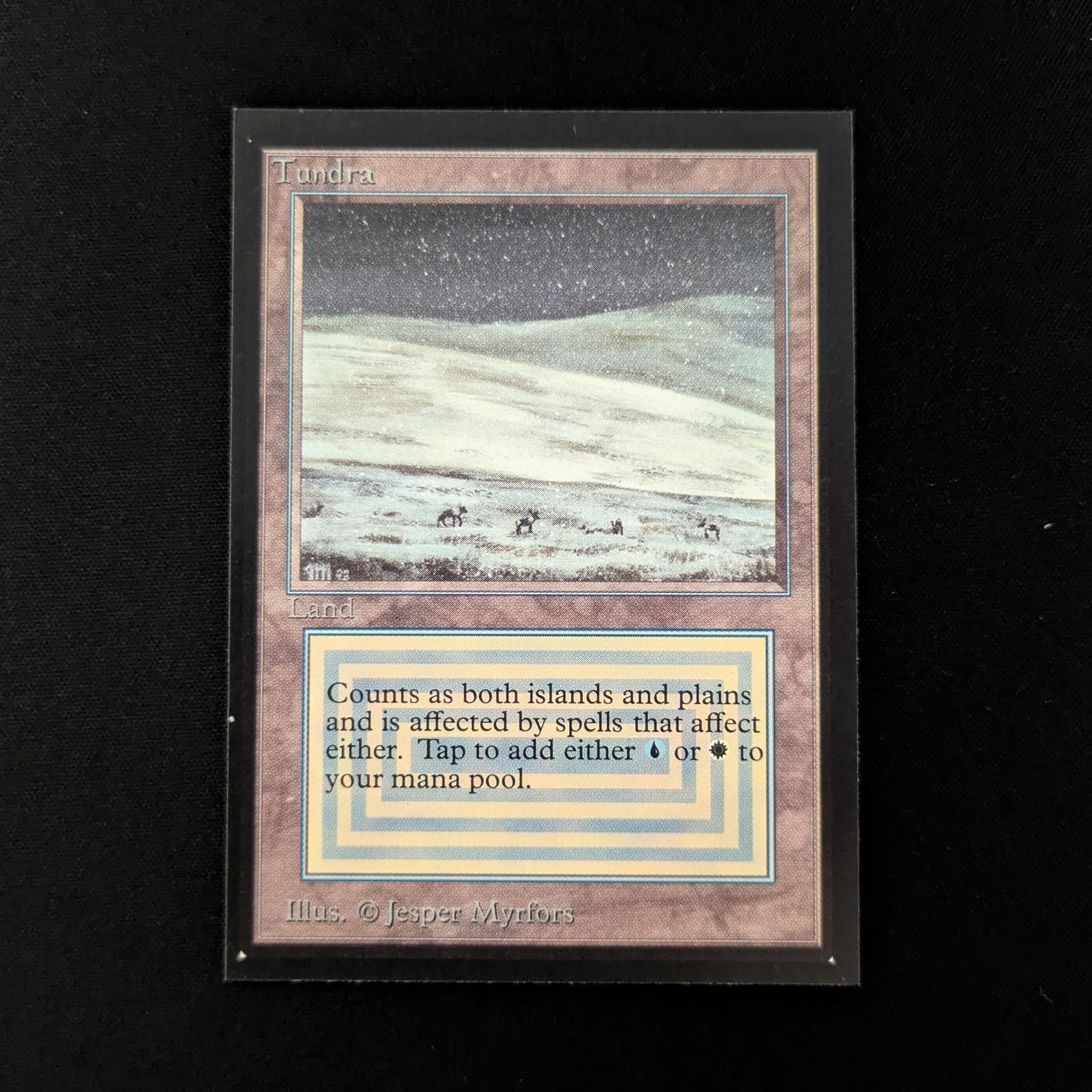 MTG Singles - Tundra - Collectors' Edition - NM - 26487