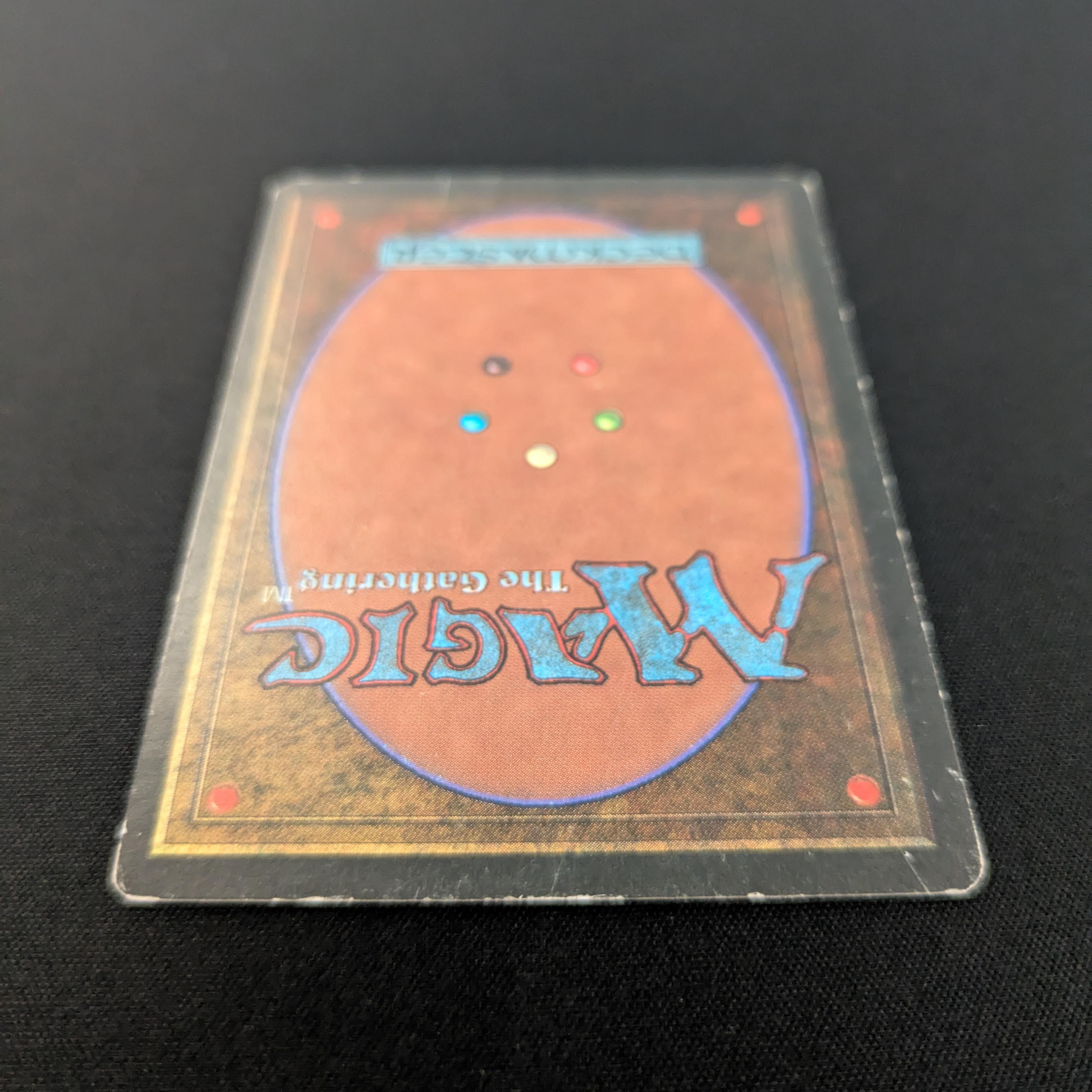 MTG Singles - Bayou - Revised - 