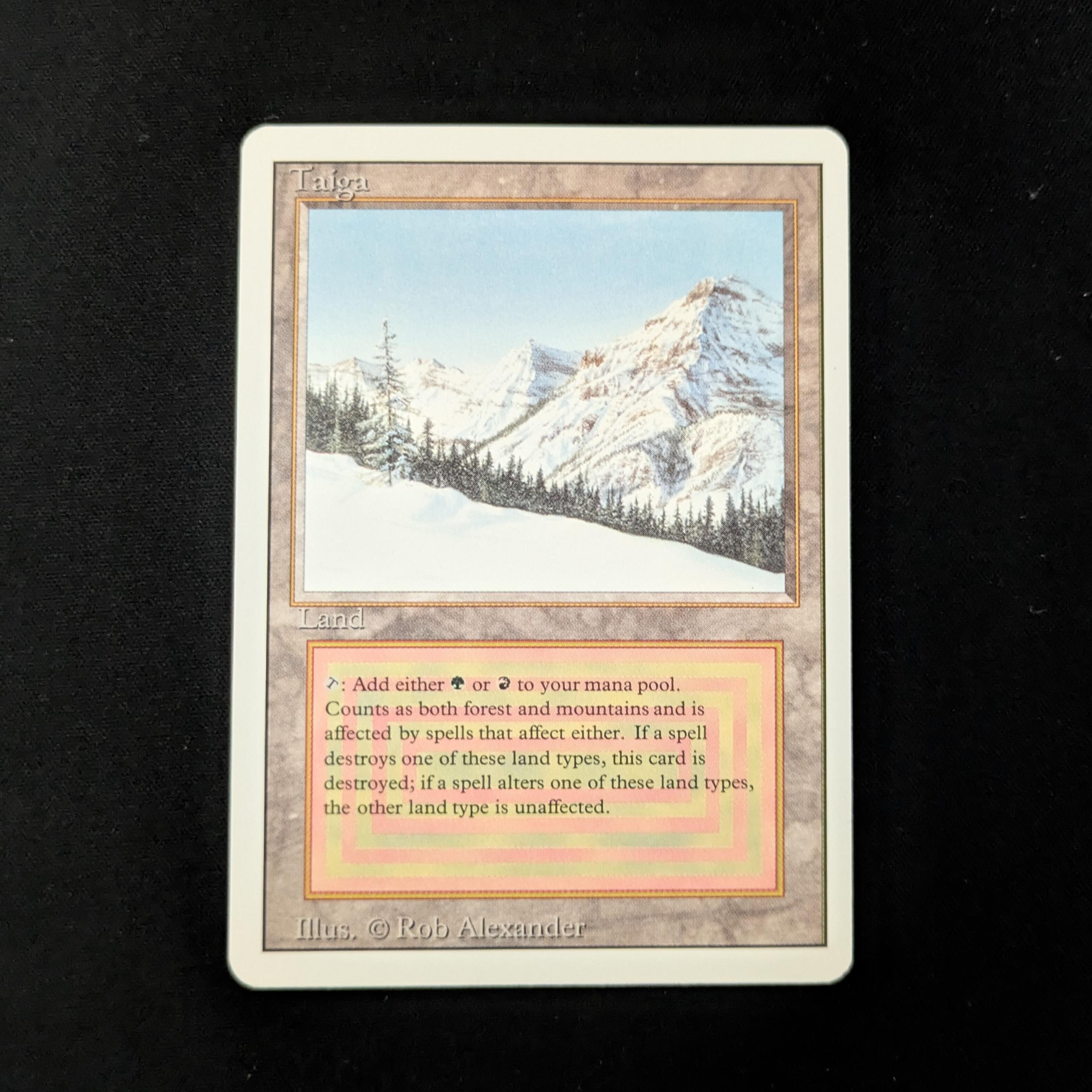 MTG　Taiga　3ED英　1枚 Taiga | 3rd Edition / Revised - German | Star City Games