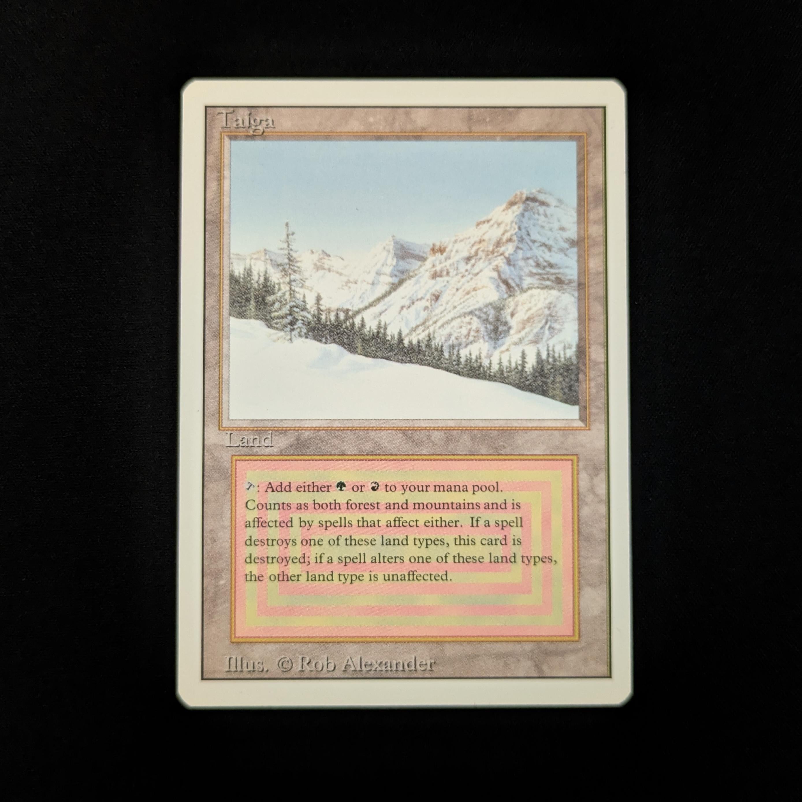 MTG Singles - Taiga - Revised - NM - 26509