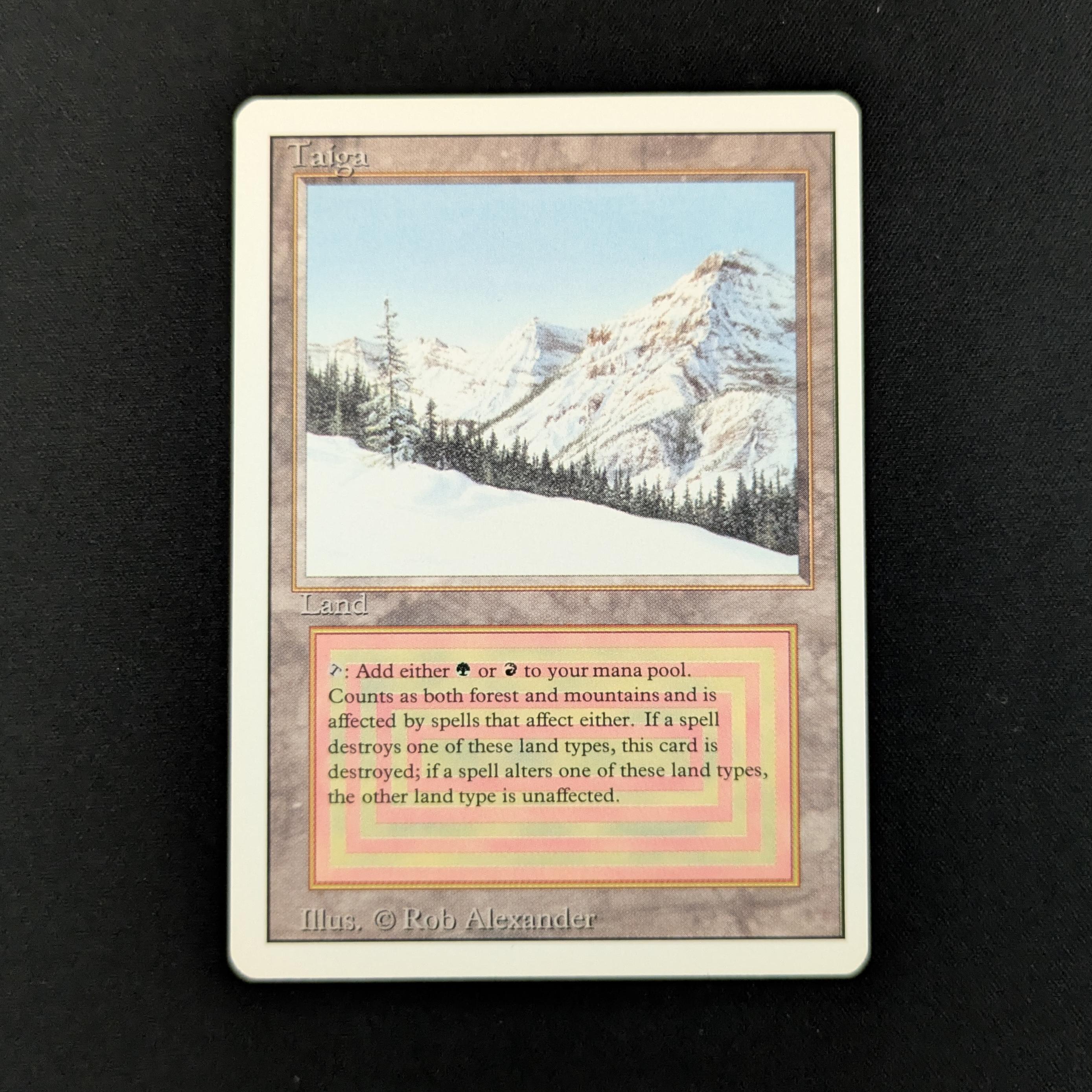 美品　MTG  Taiga  リバイズド　NM 26510_1.jpg?v=1751460904&width