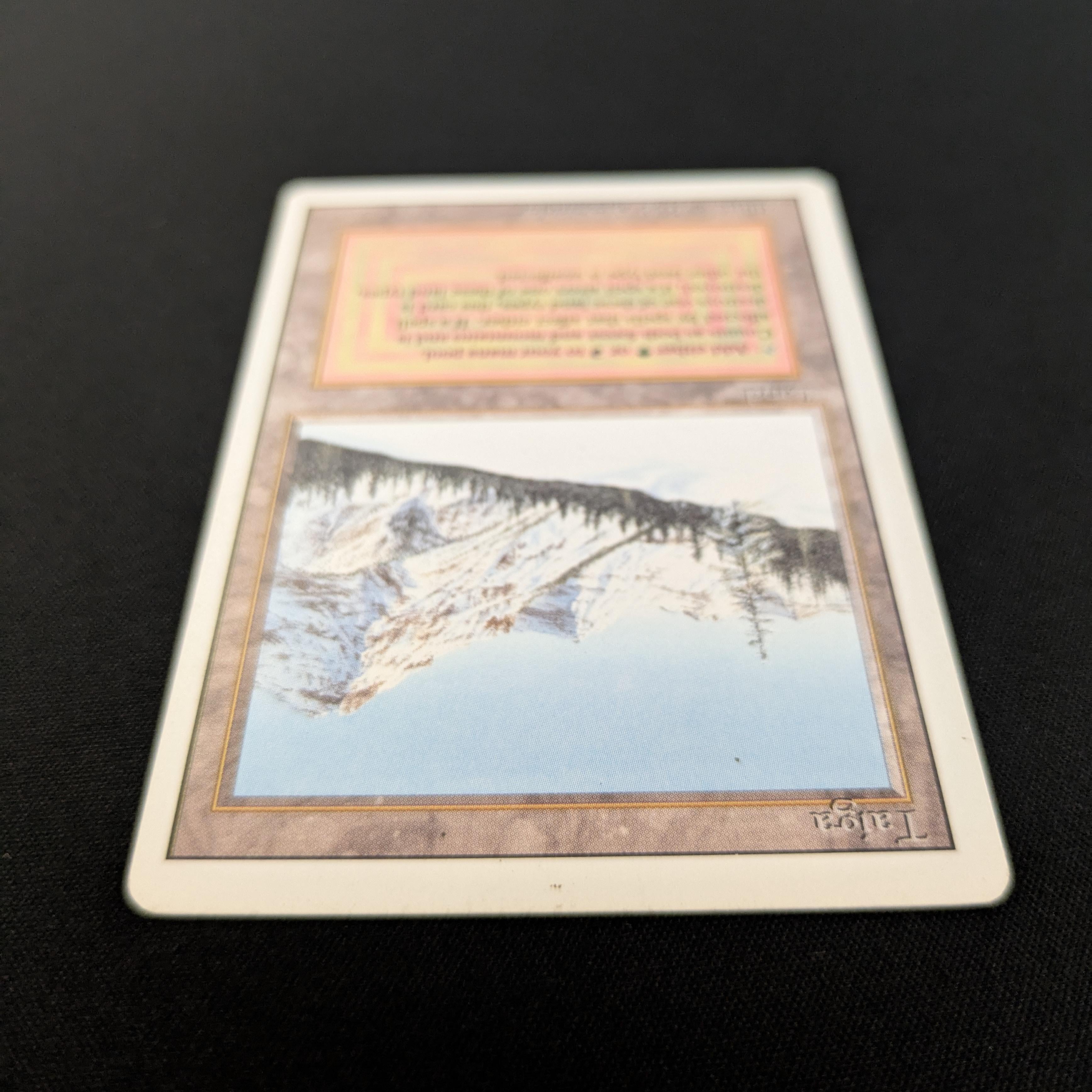 MTG Singles - Taiga - Revised - 