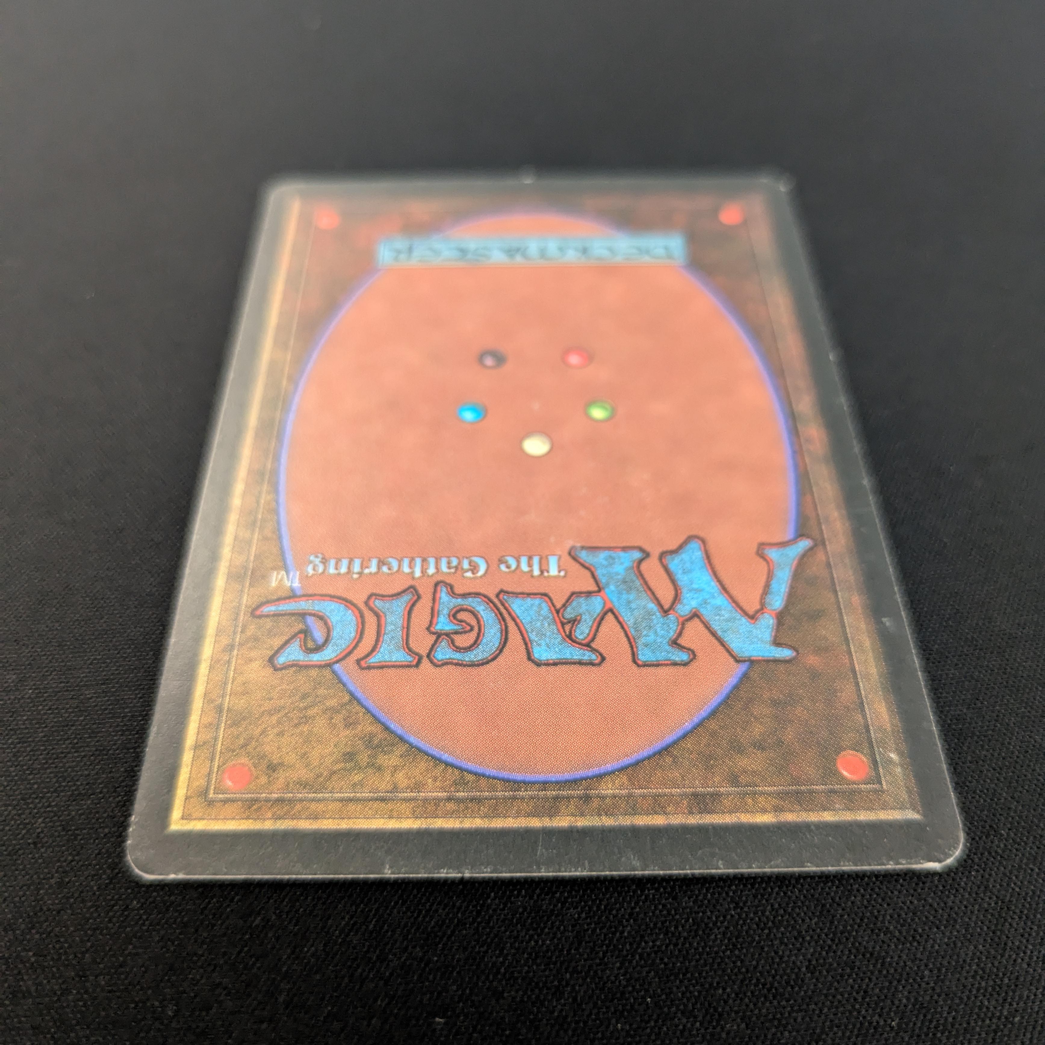 MTG Singles - Taiga - Revised - 