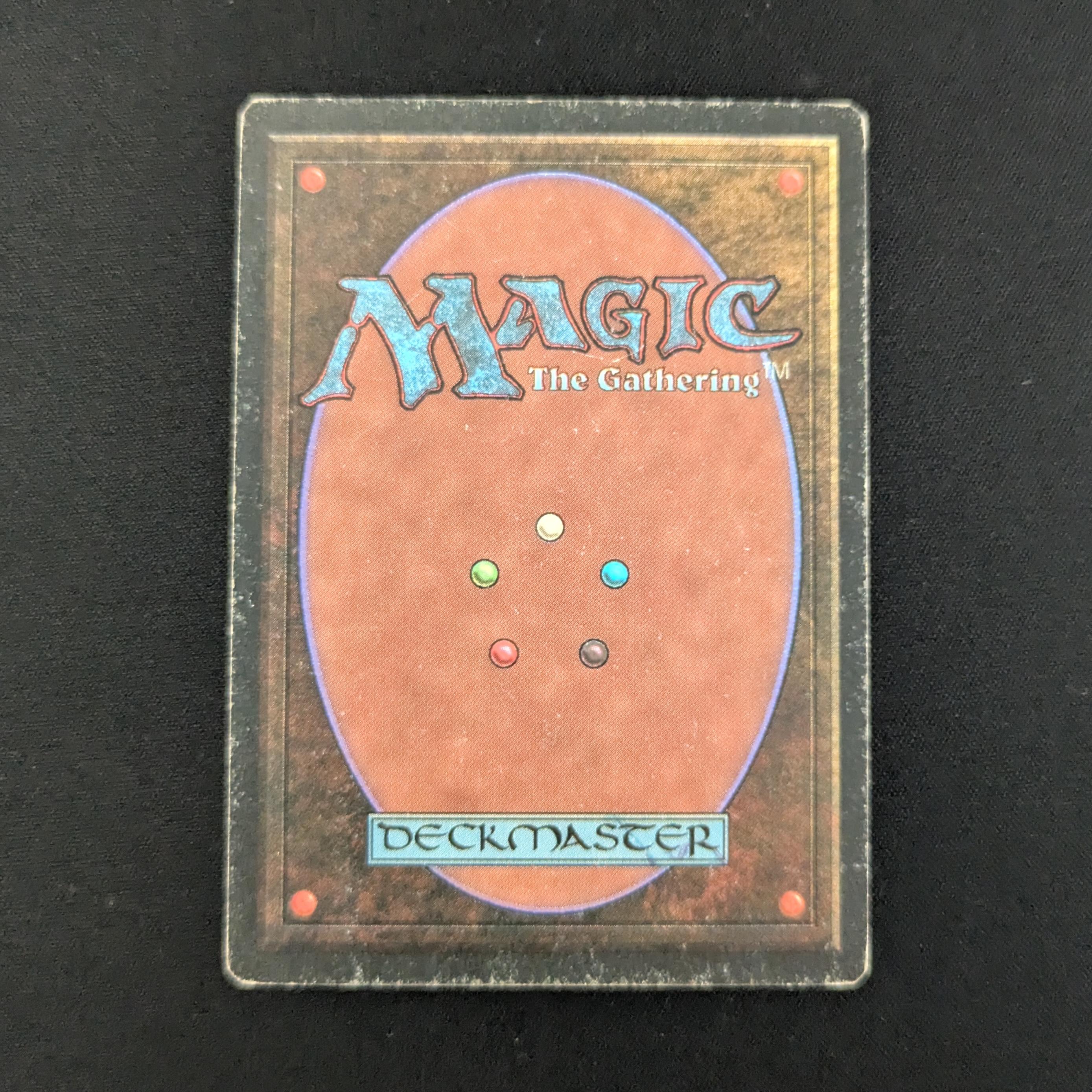 MTG Singles - Taiga - Revised - 