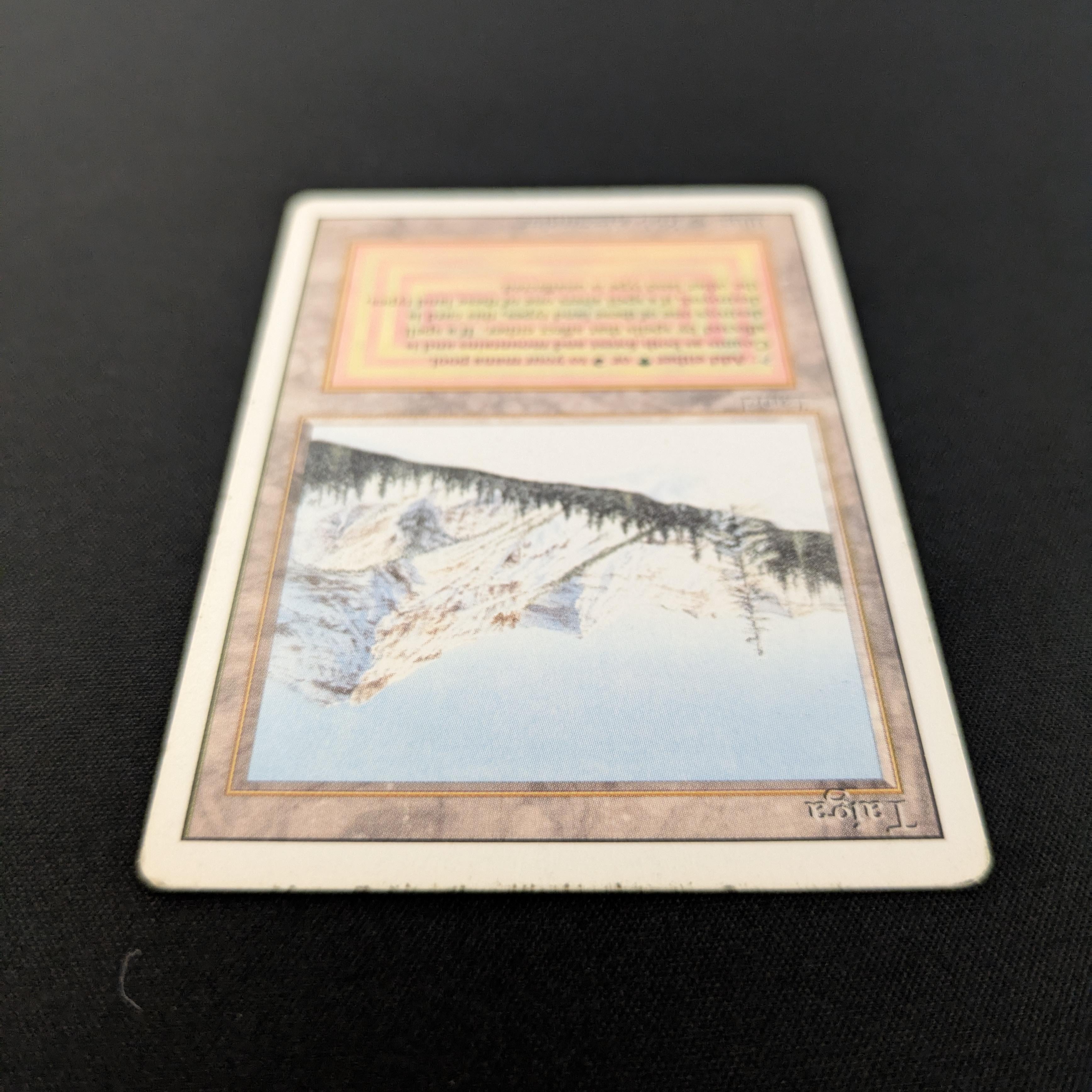 MTG Singles - Taiga - Revised - 