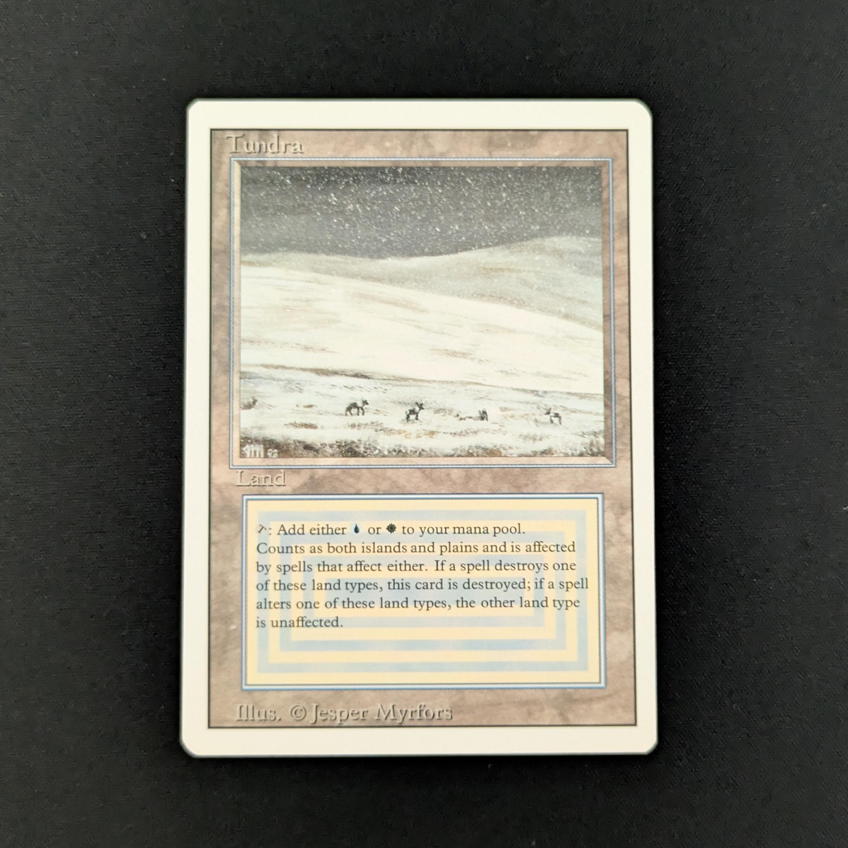 MTG Singles - Tundra - Revised - NM - 26514