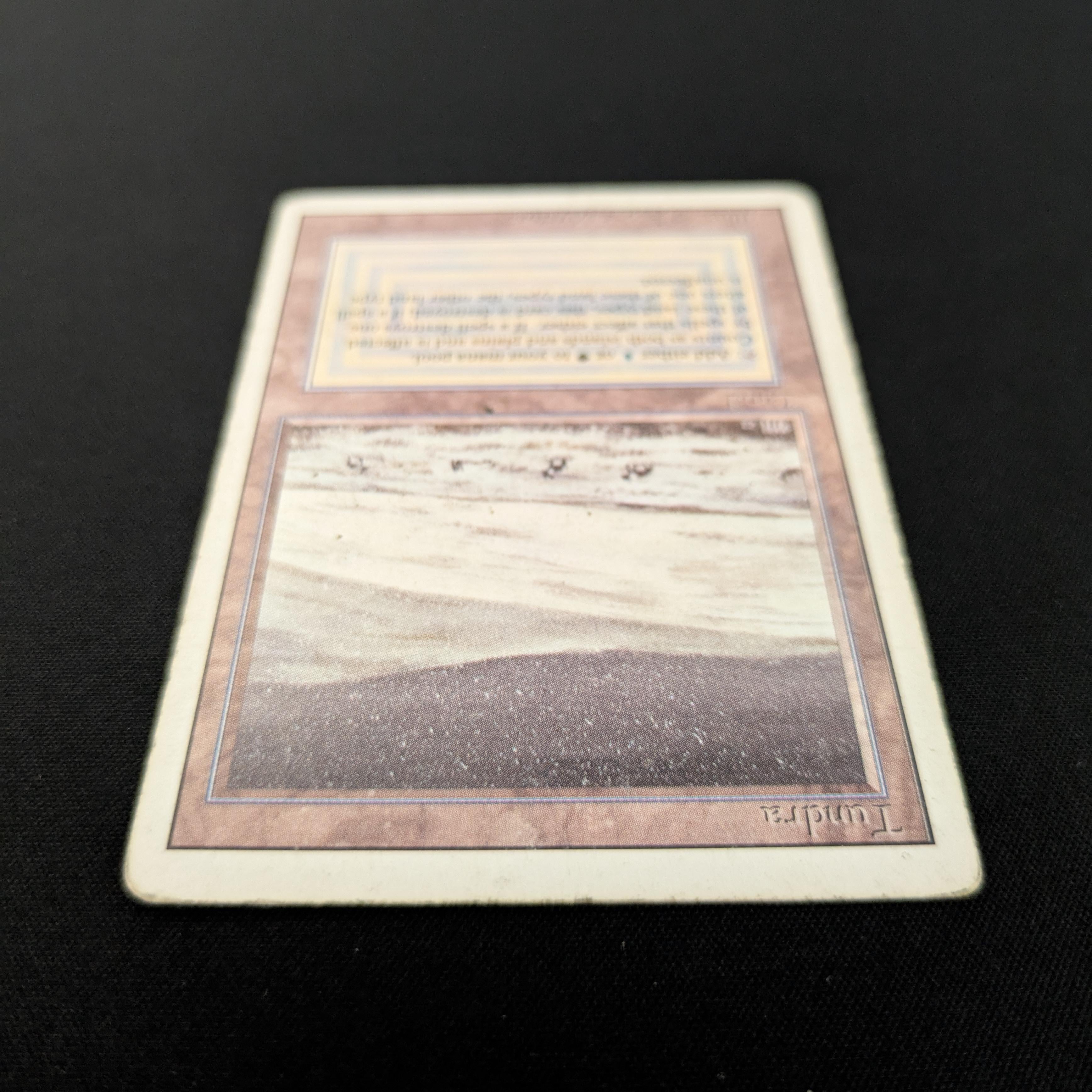MTG Singles - Tundra - Revised - 