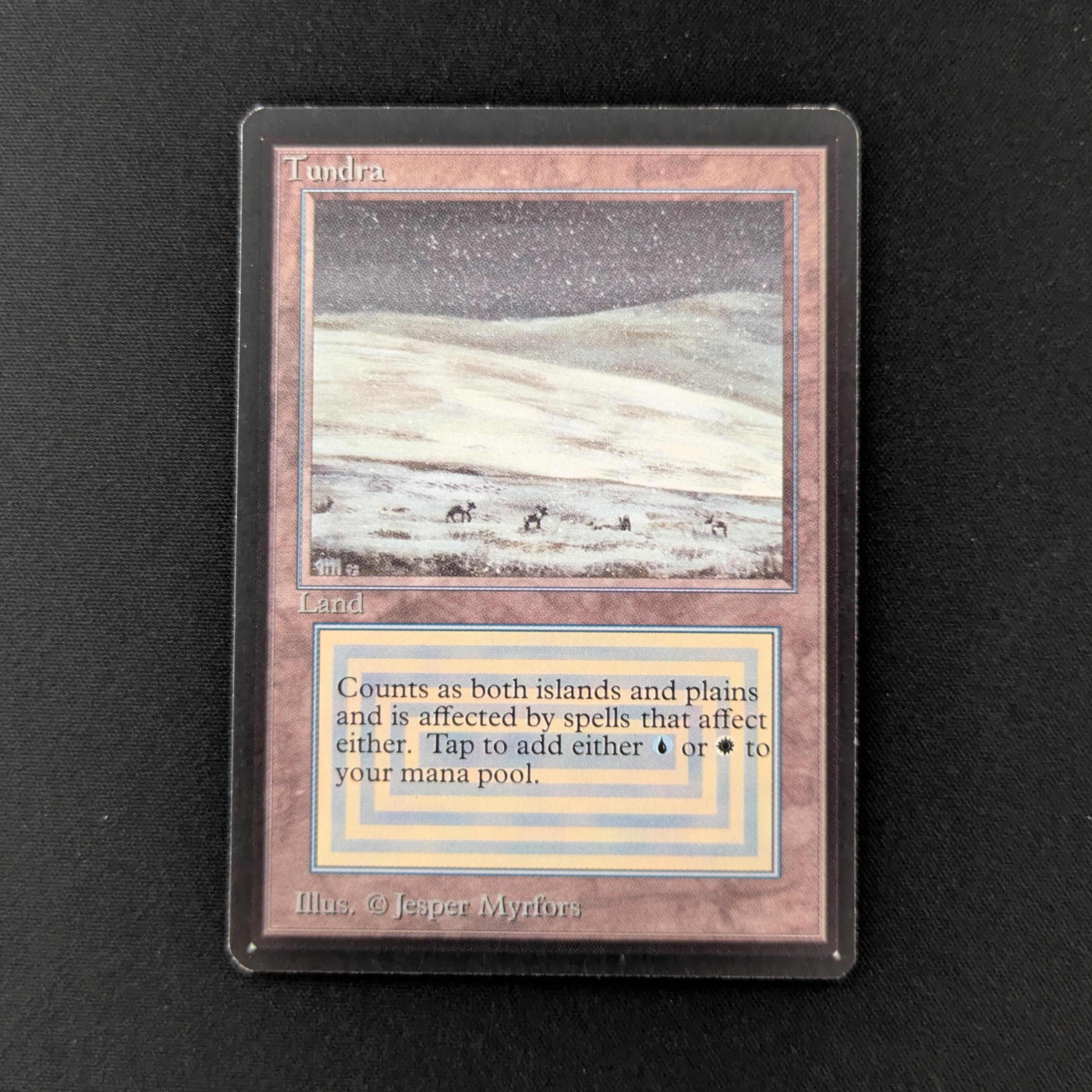MTG Singles - Tundra - Beta - NM - 26644