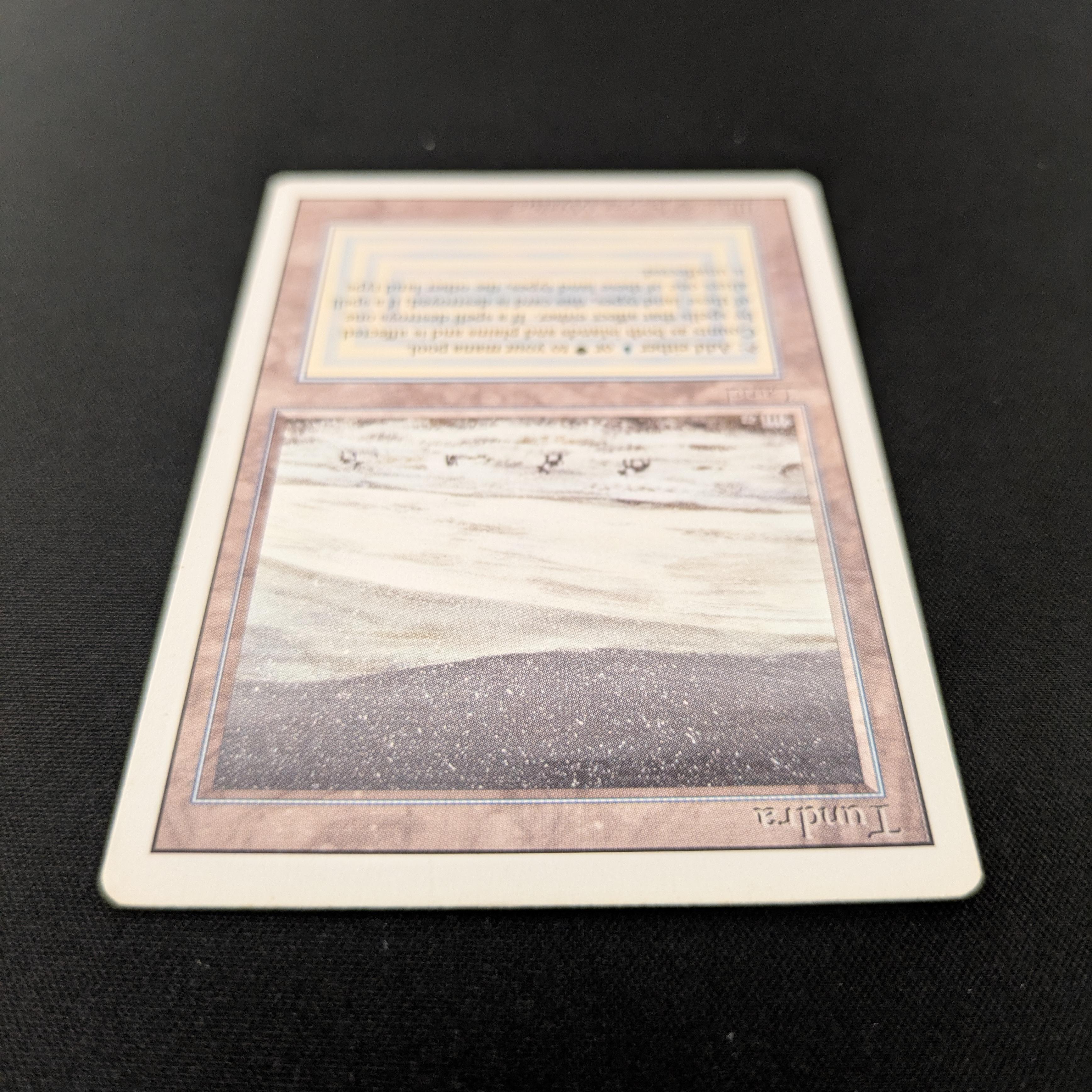 MTG Singles - Tundra - Revised - 