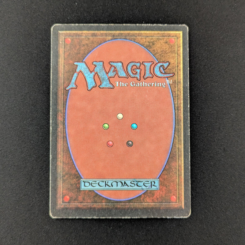 MTG Singles - Tundra - Revised - 